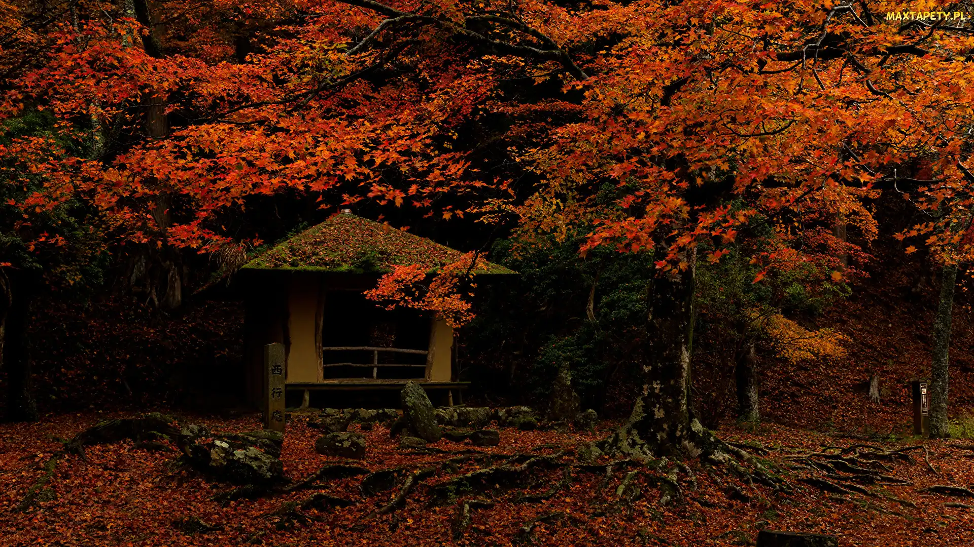 Drzewa, Altana, Jesień, Liście, Miejscowość Nara, Czerwonawe, Japonia, Park w Nara