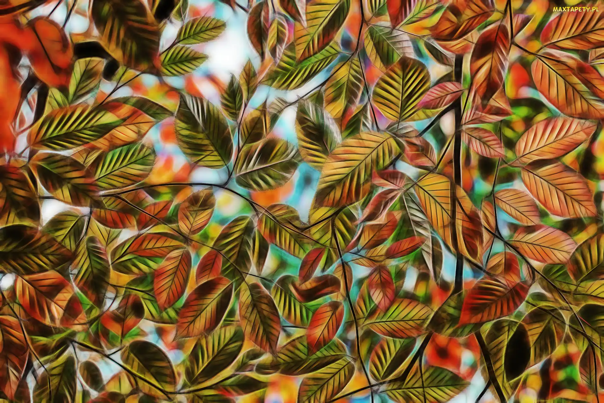 Grafika komputerowa, Fractalius, Kolorowe, Liście