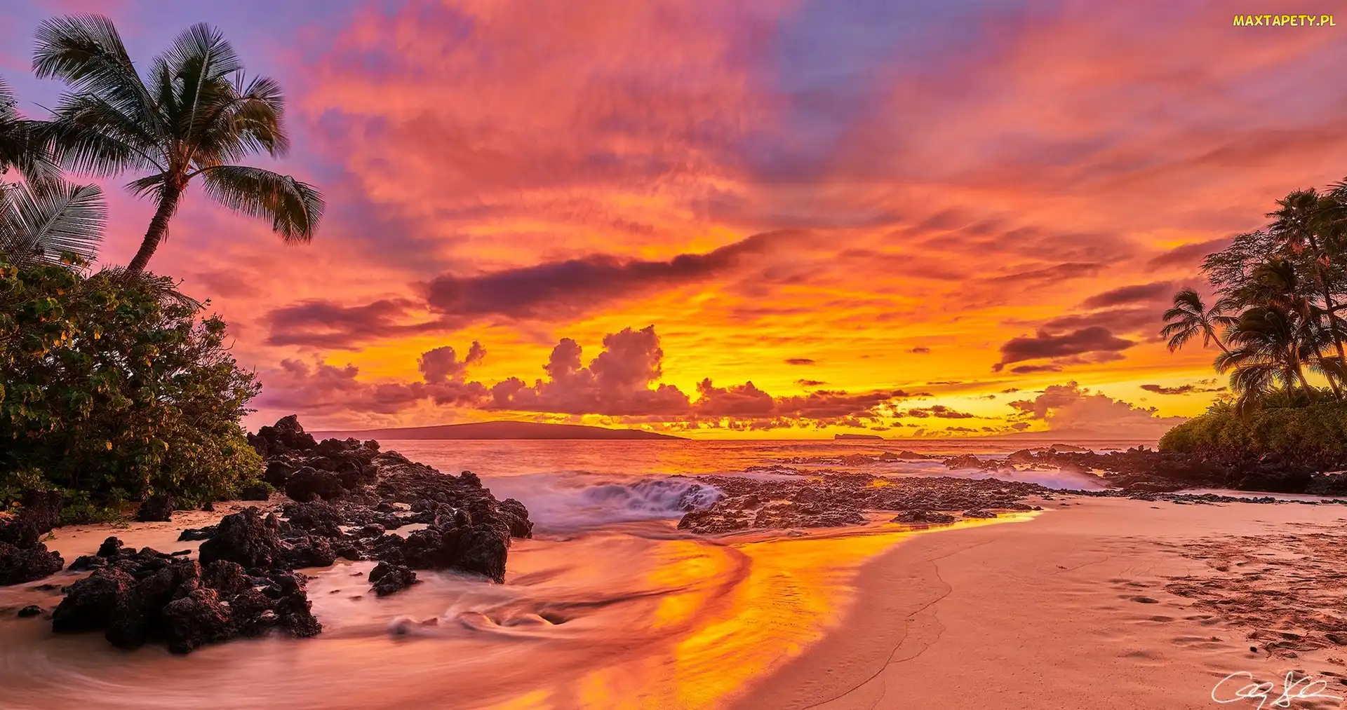 Chmury, Zachód słońca, Wyspa Maui, Hawaje, Ocean, Palmy