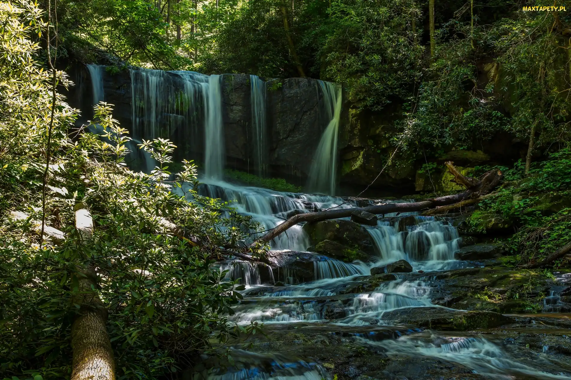Stany Zjednoczone, Stan Karolina Północna, Las, Wodospad Virginia Hawkins Falls, Rzeka, Kamienie