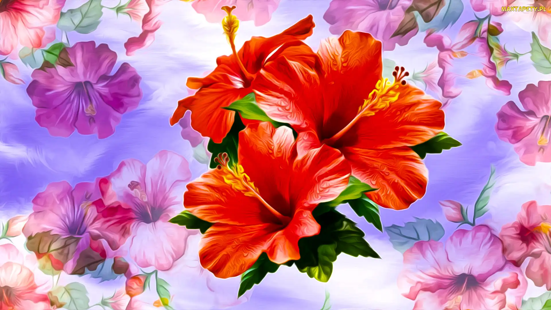 Grafika, Hibiskusy, Czerwone, Kwiaty
