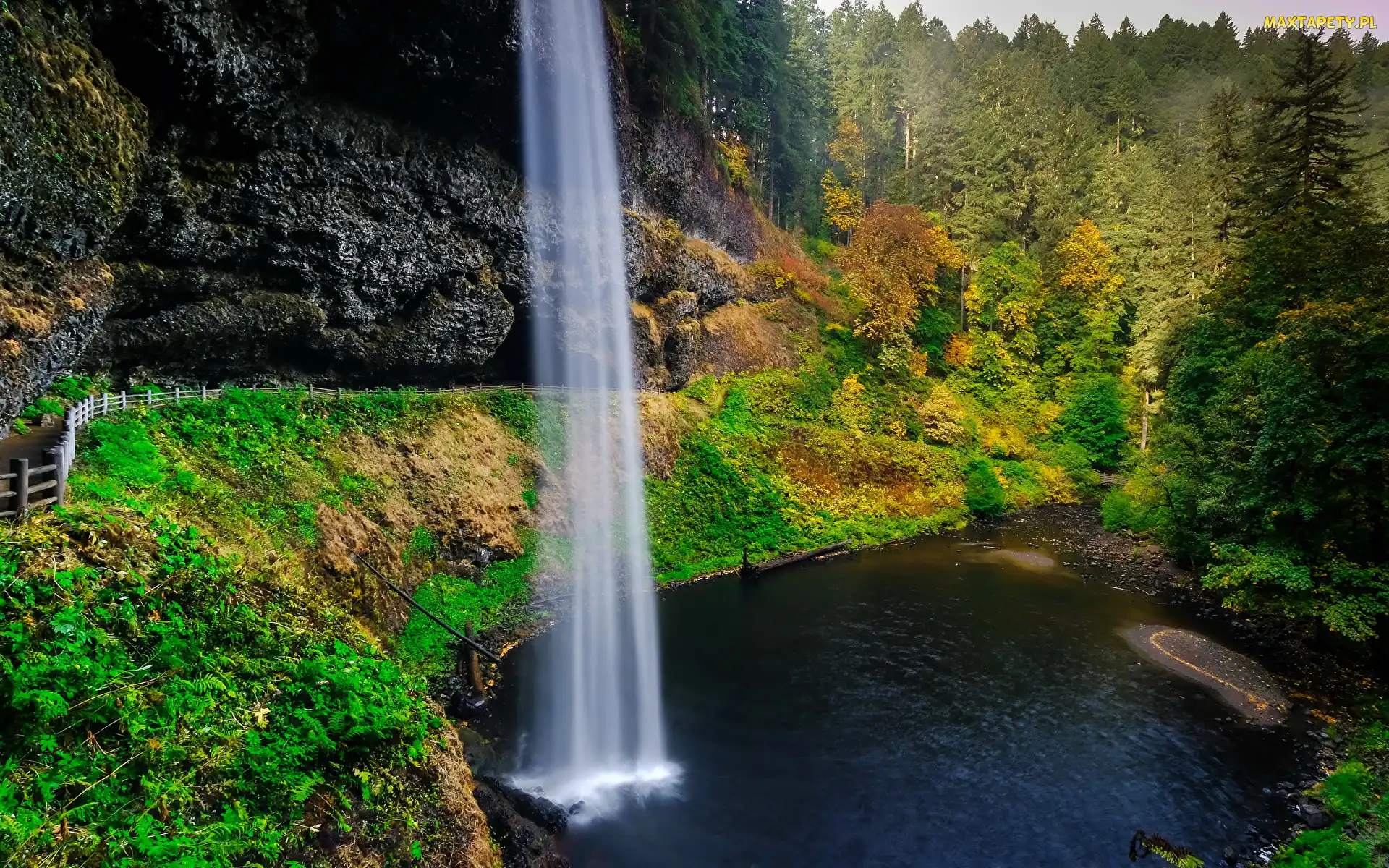 Wodospad South Falls, Stan Oregon, Roślinność, Stany Zjednoczone, Park stanowy Silver Falls, Jezioro, Las, Drzewa, Skały