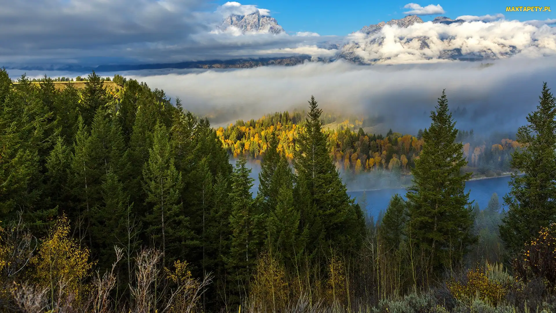 Stany Zjednoczone, Park Narodowy Grand Teton, Krajobraz, Stan Wyoming, Góry, Las, Drzewa, Świerki, Jesień, Mgła