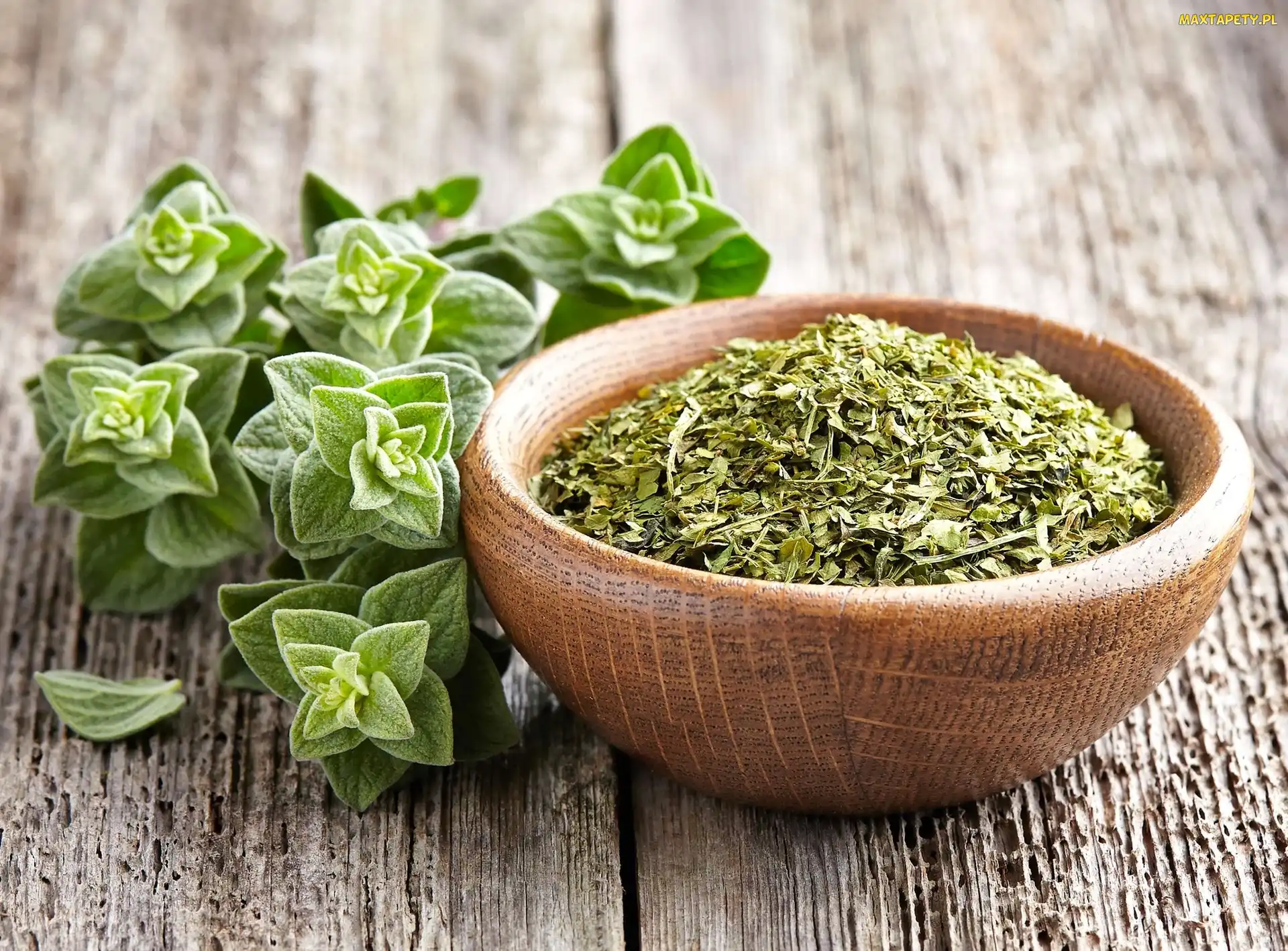 Przyprawa, Miseczka, Oregano, Listki