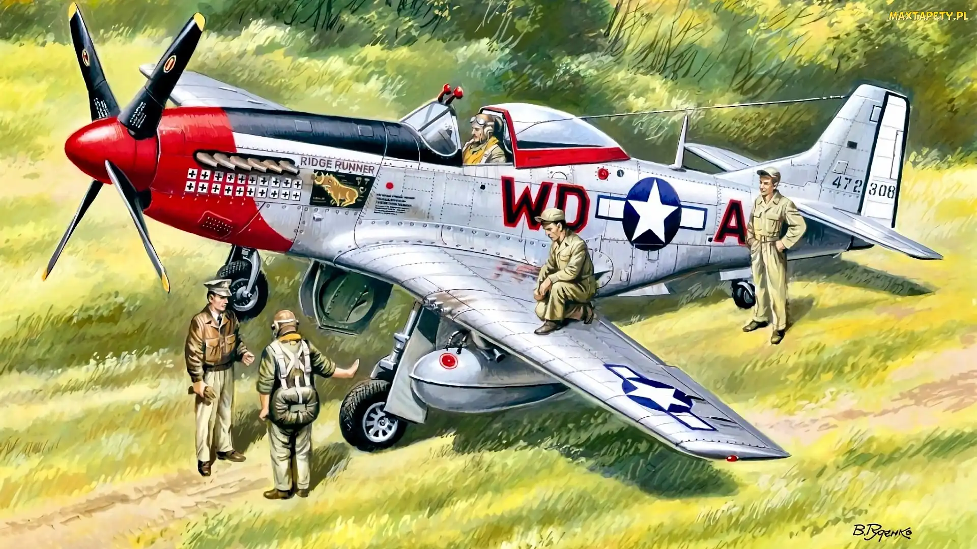 Reprodukcja obrazu, North American P-51 Mustang, Samolot, Myśliwiec