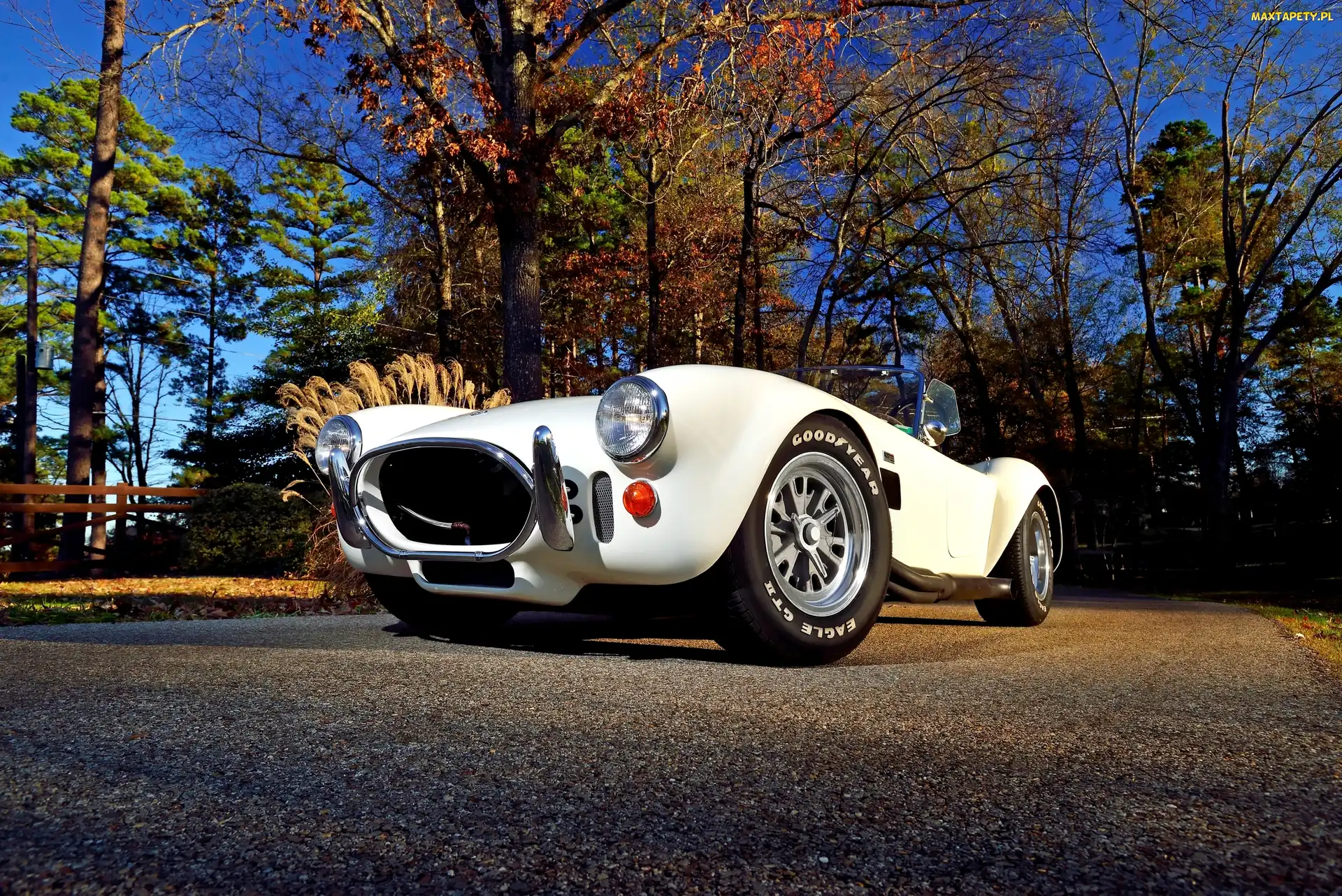 1967, Shelby, Zabytkowy, AC Cobra 427