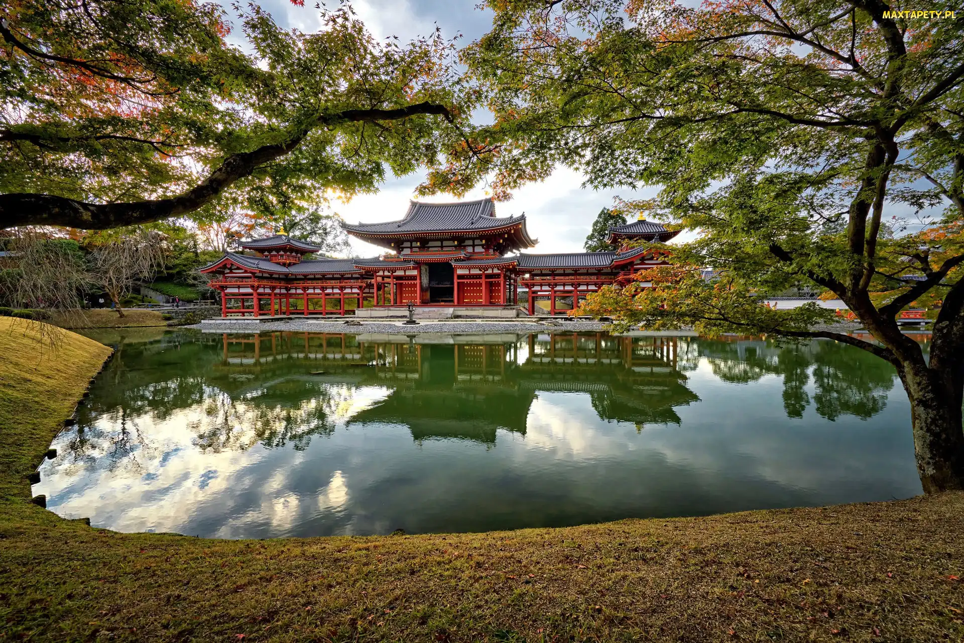Miasto Uji, Drzewa, Świątynia Byodo-in, Japonia, Staw, Buddyjska, Pawilon Feniksa
