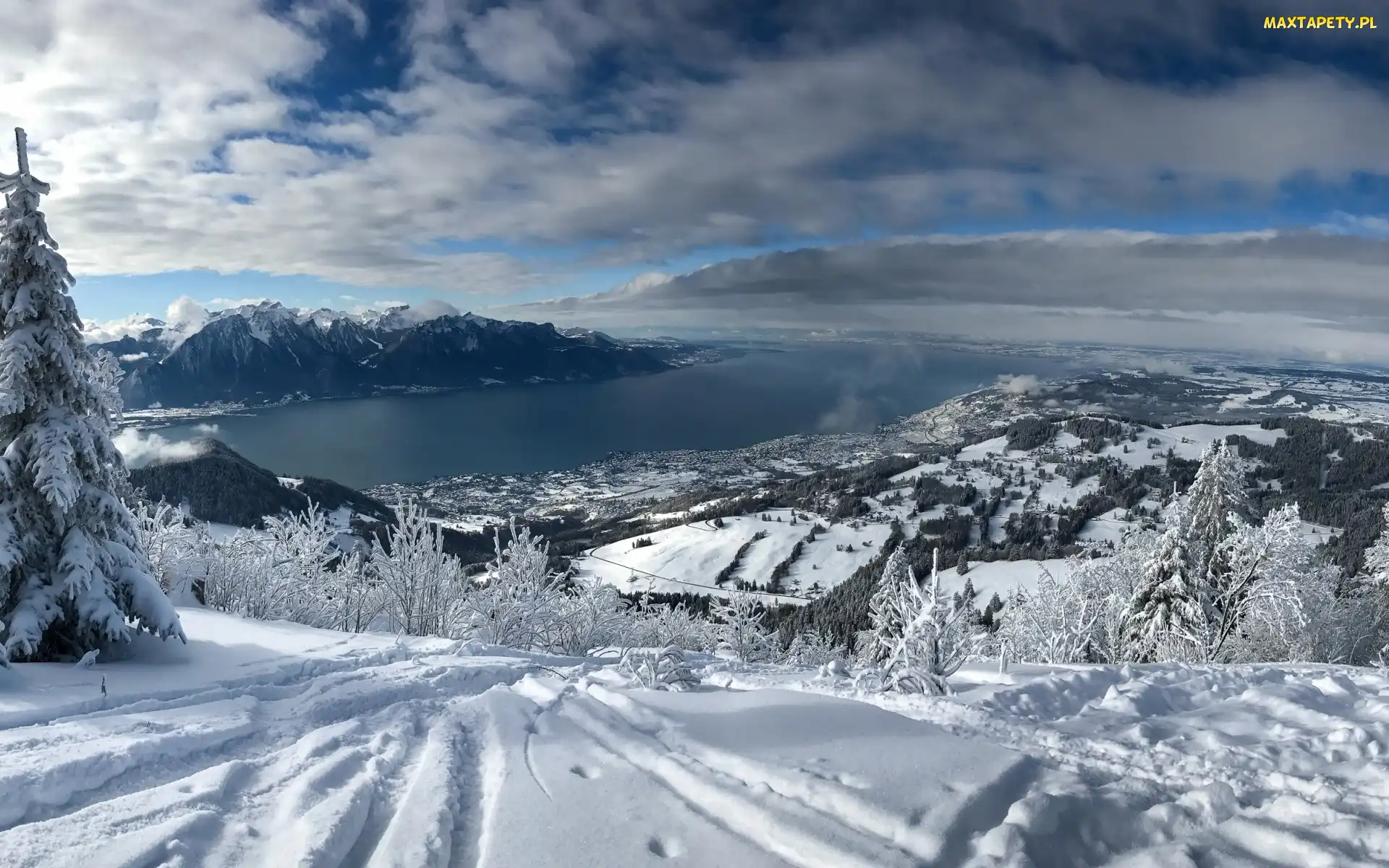 Montreux, Jezioro Genewskie, Śnieg, Szwajcaria, Góry Alpy, Zima, Drzewa