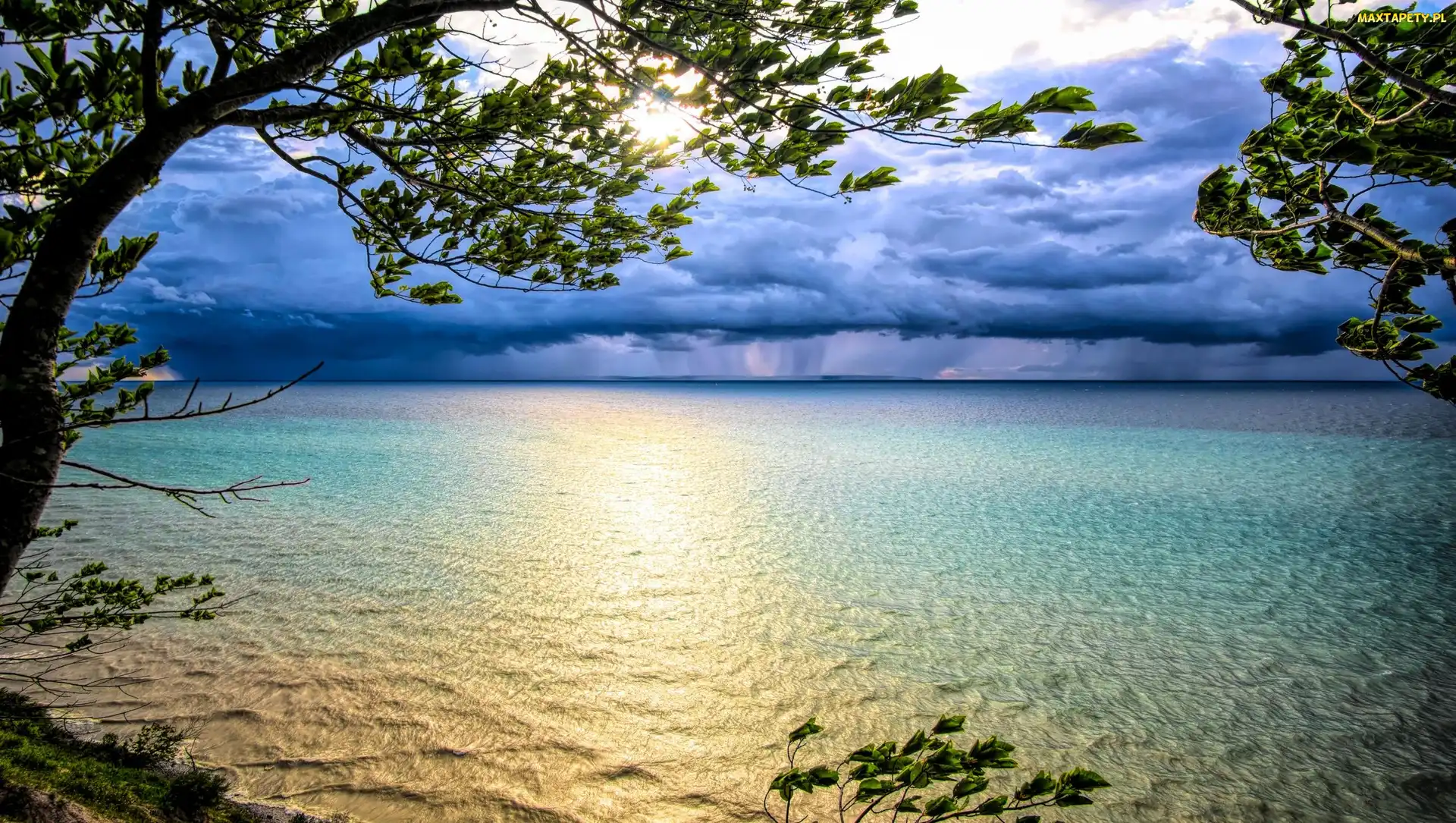 Drzewo, Stany Zjednoczone, Chmury, Zachód słońca, Jezioro Michigan