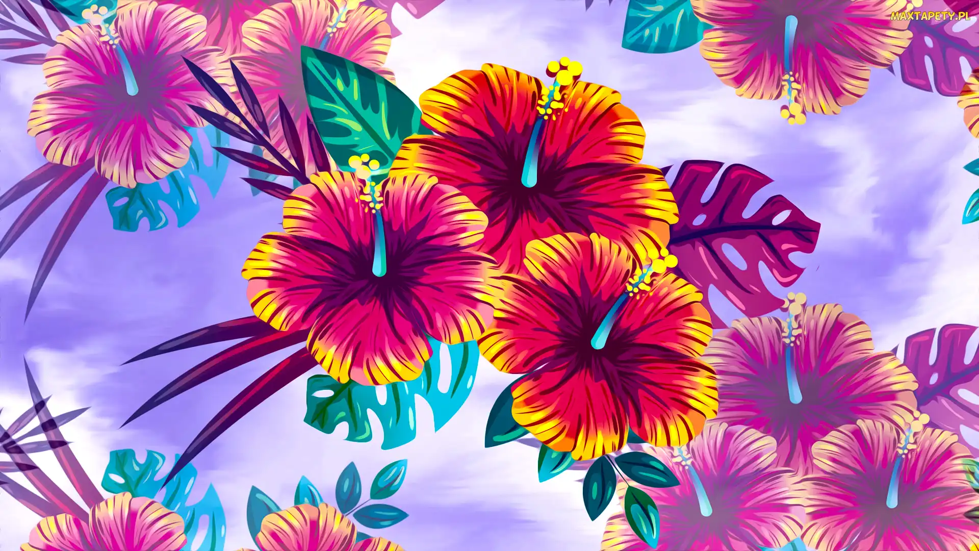 Hibiskusy, Grafika 2D, Kwiaty