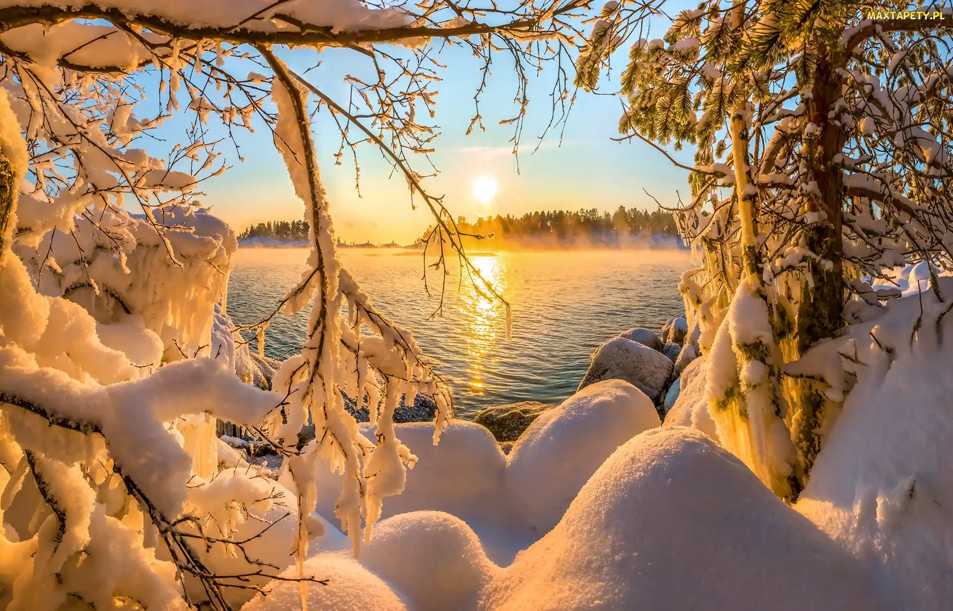 Gałęzie, Śnieg, Mgła, Jezioro, Zima, Las, Drzewa, Niebo, Ośnieżone, Zachód słońca