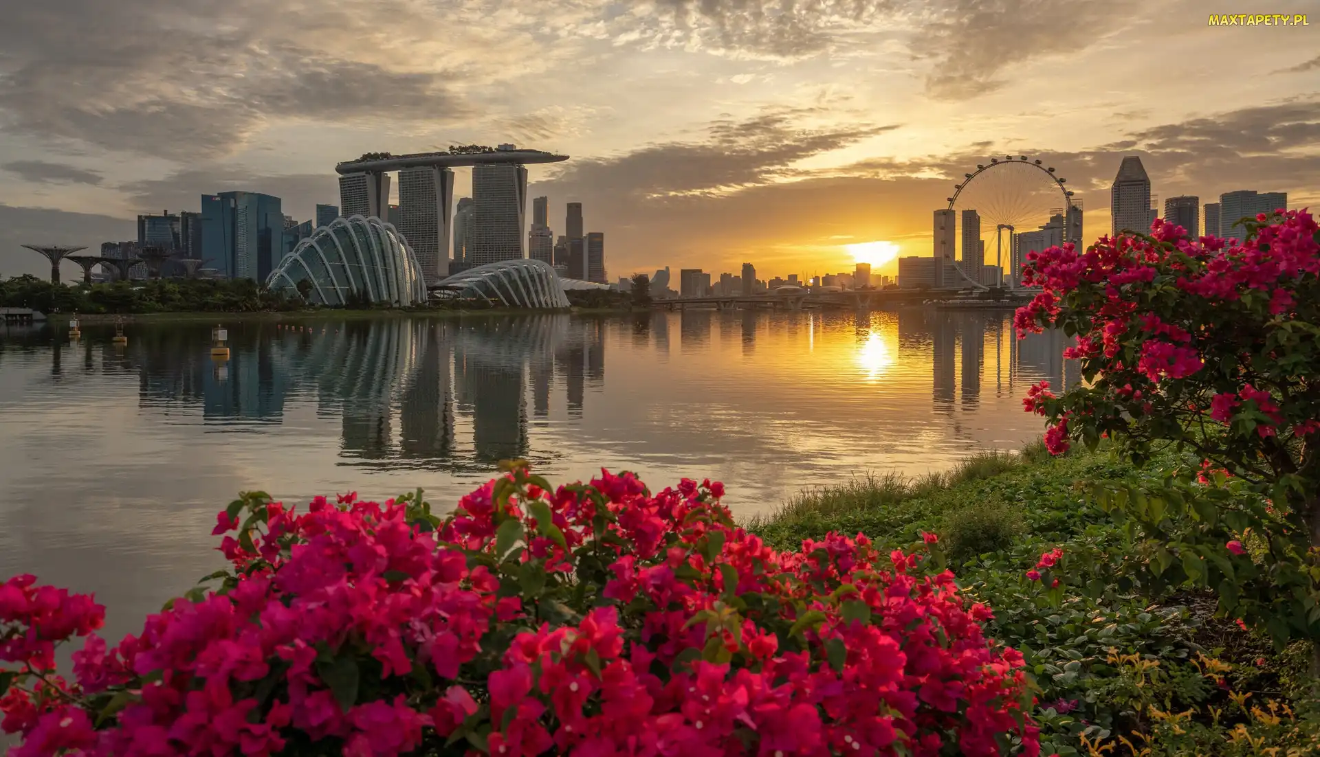 Singapur, Hotel Marina Bay Sands, Zatoka Marina Bay, Zachód słońca, Rzeka, Most, Kwiaty, Wieżowce