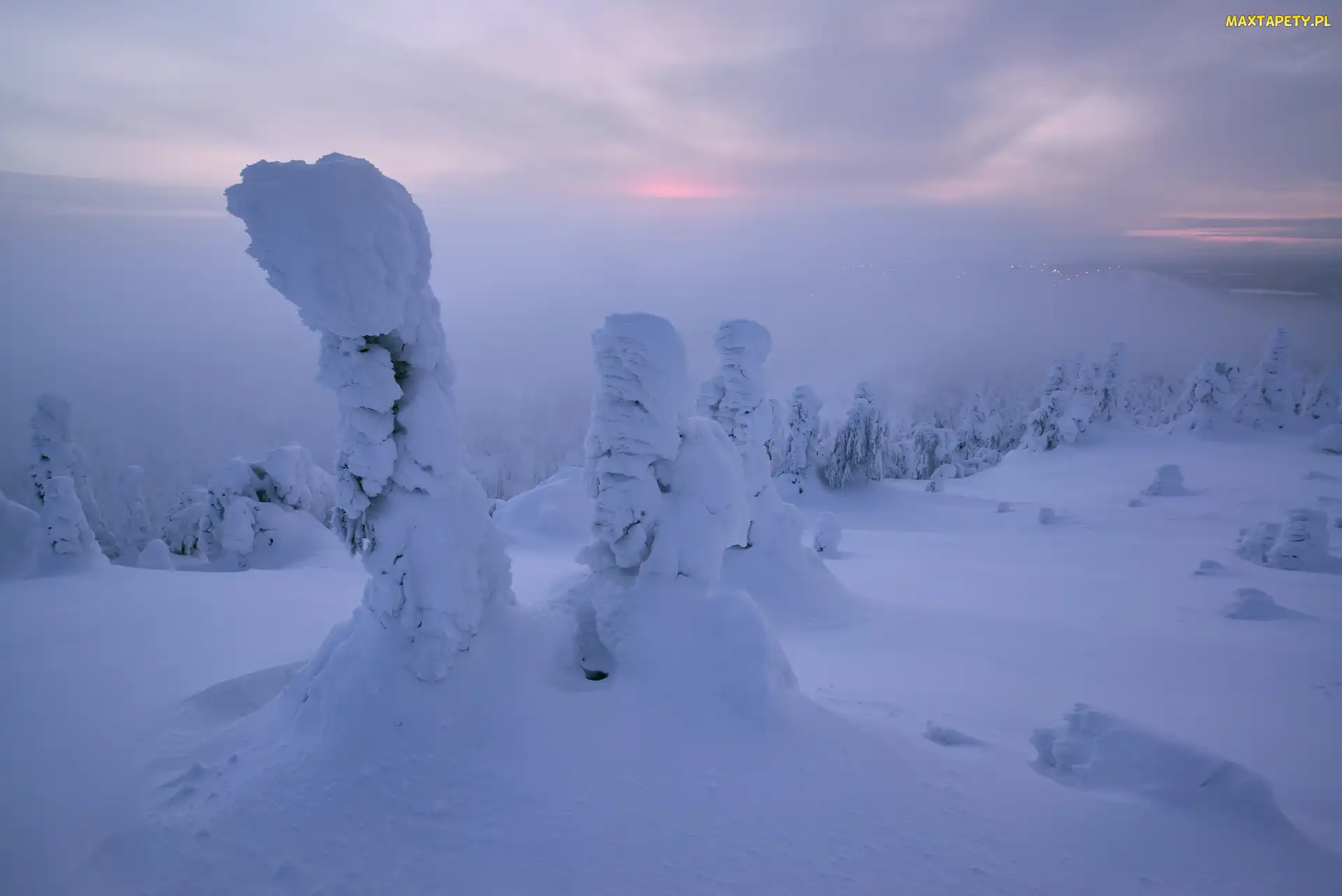 Finlandia, Mgła, Góry, Zima, Zaśnieżone, Drzewa