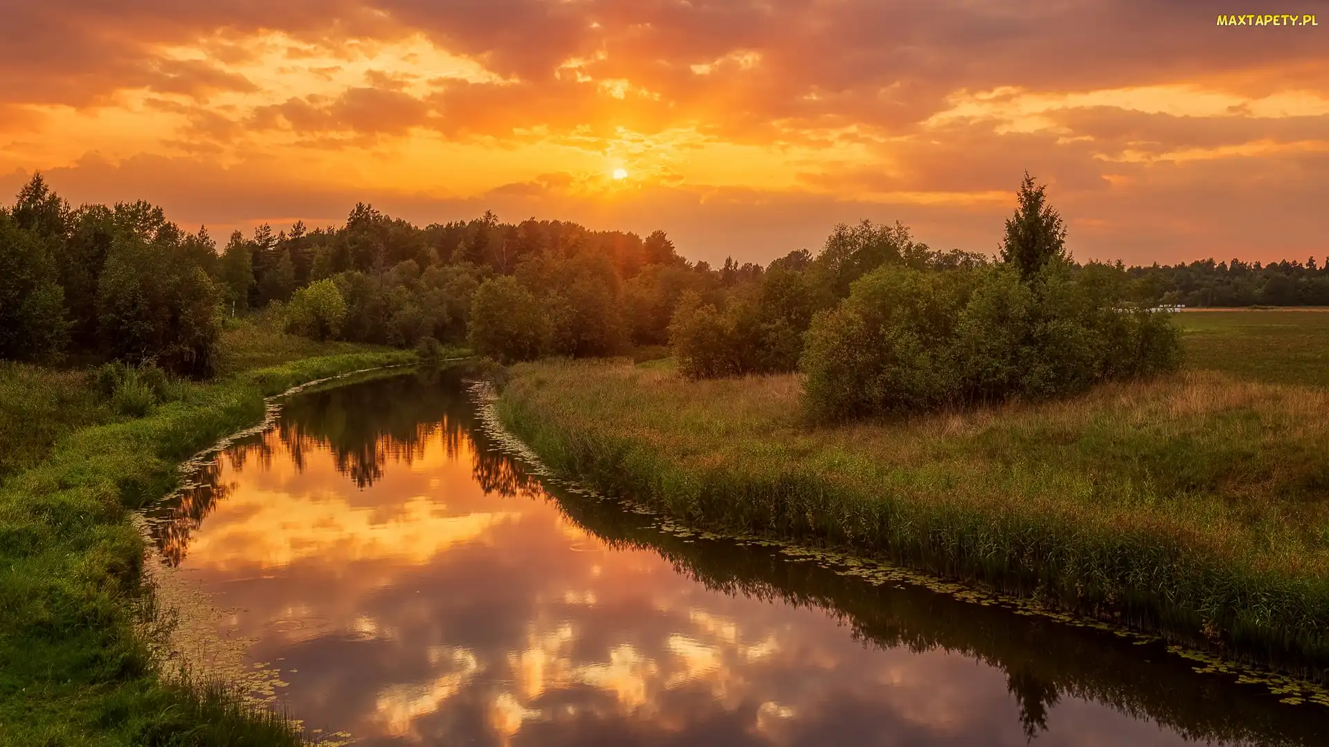 Zachód słońca, Krzewy, Rzeka, Drzewa