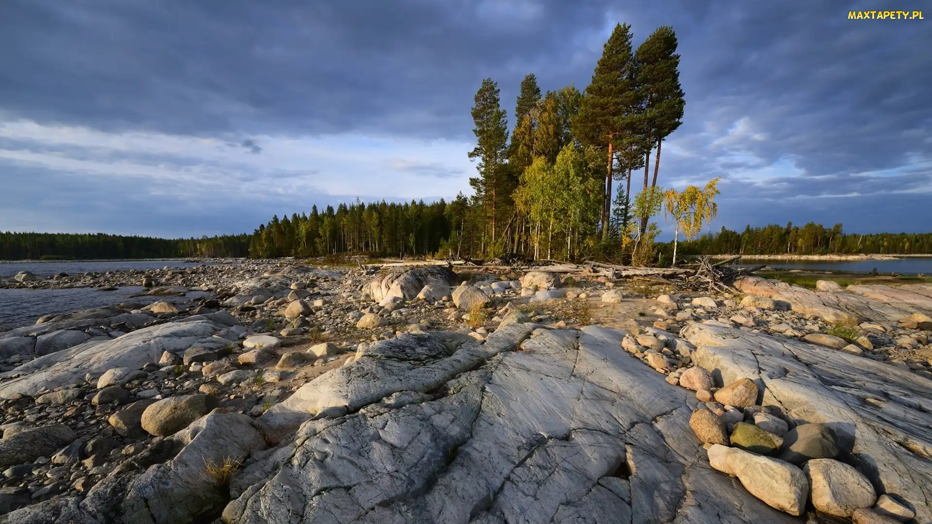 Rosja, Karelia, Skały, Jezioro Siegoziero, Kamienie, Drzewa