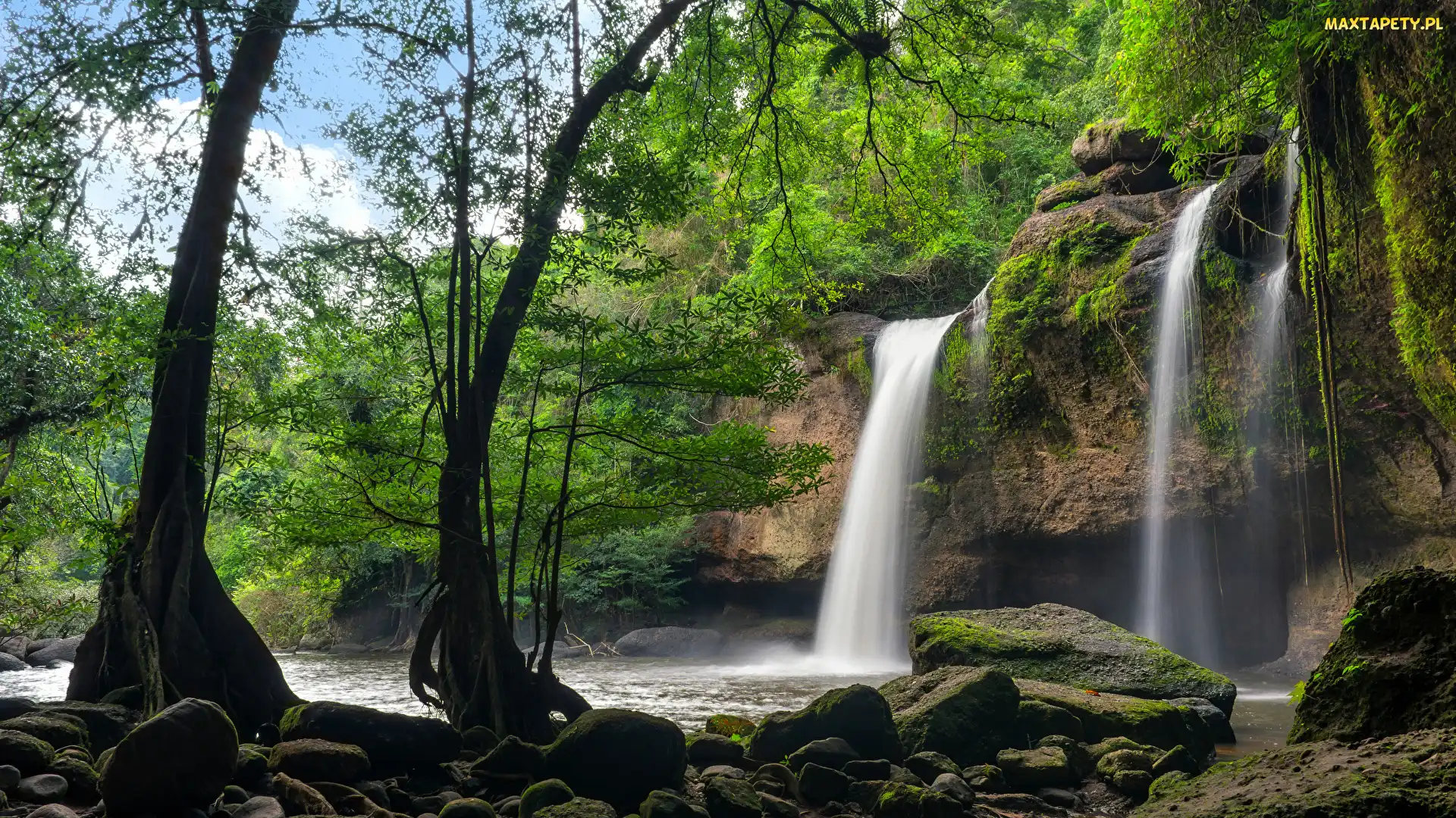 Tajlandia, Drzewa, Park Narodowy Khau Yai, Wodospad Haew Suwat, Omszałe, Kamienie