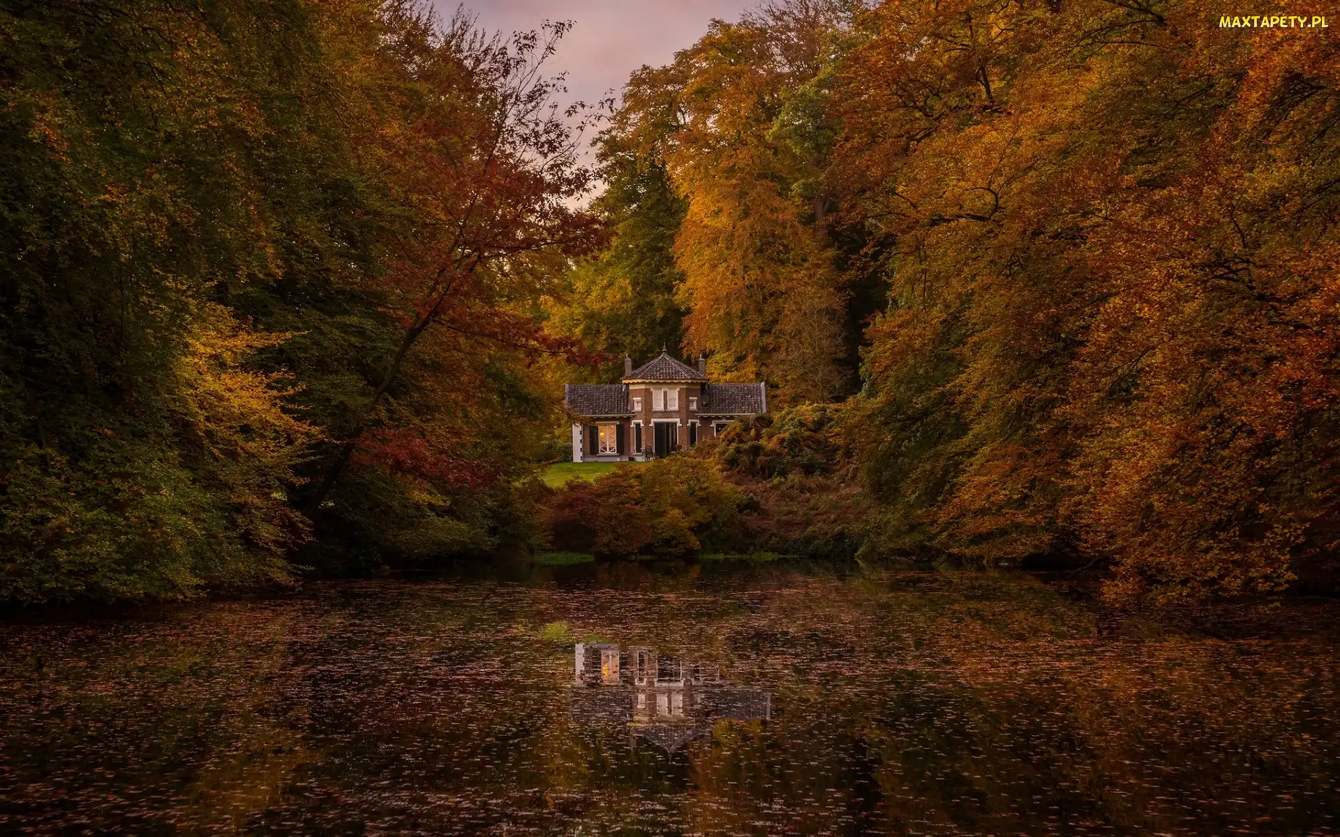 Staw, Liście, Drzewa, Jesień, Dom, Opadłe