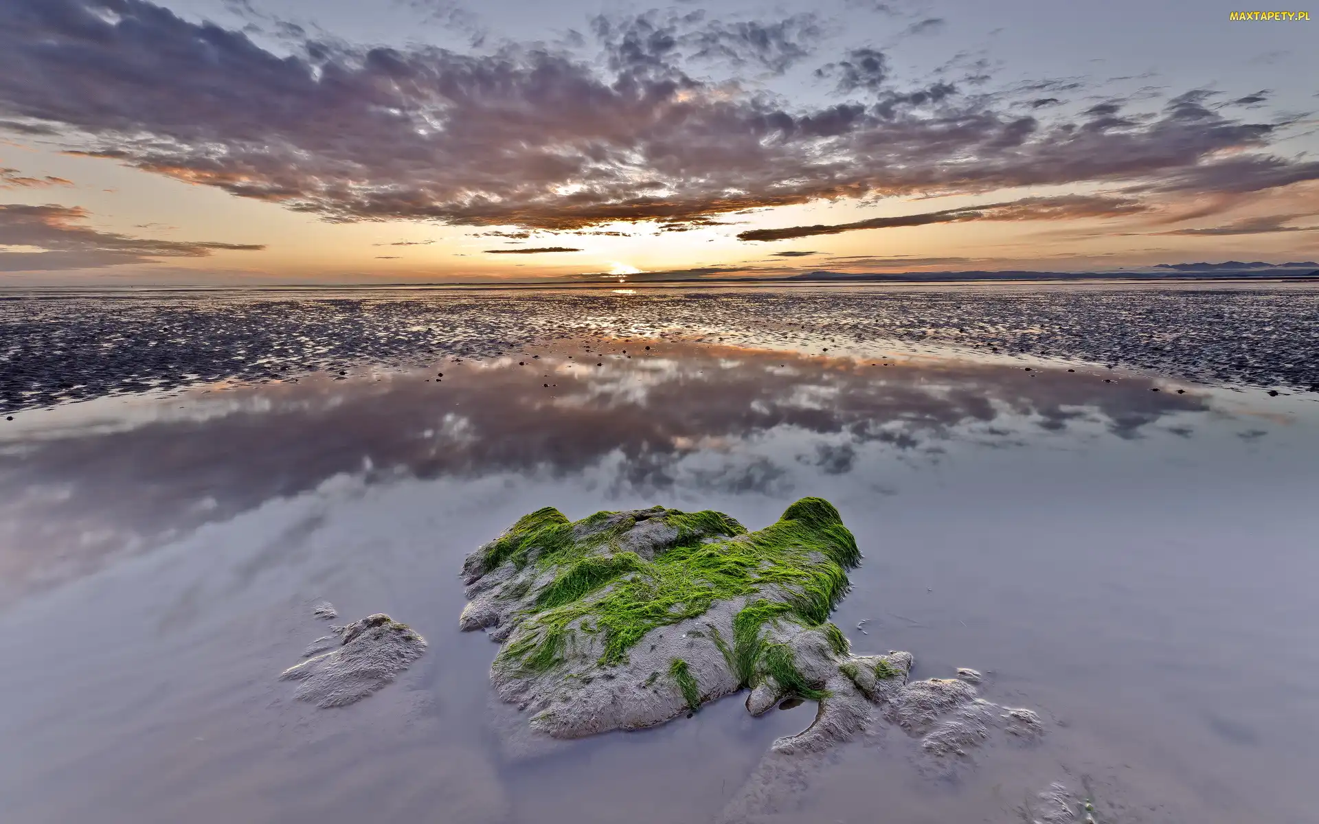 Wodorosty, Zachód słońca, Morze, Plaża