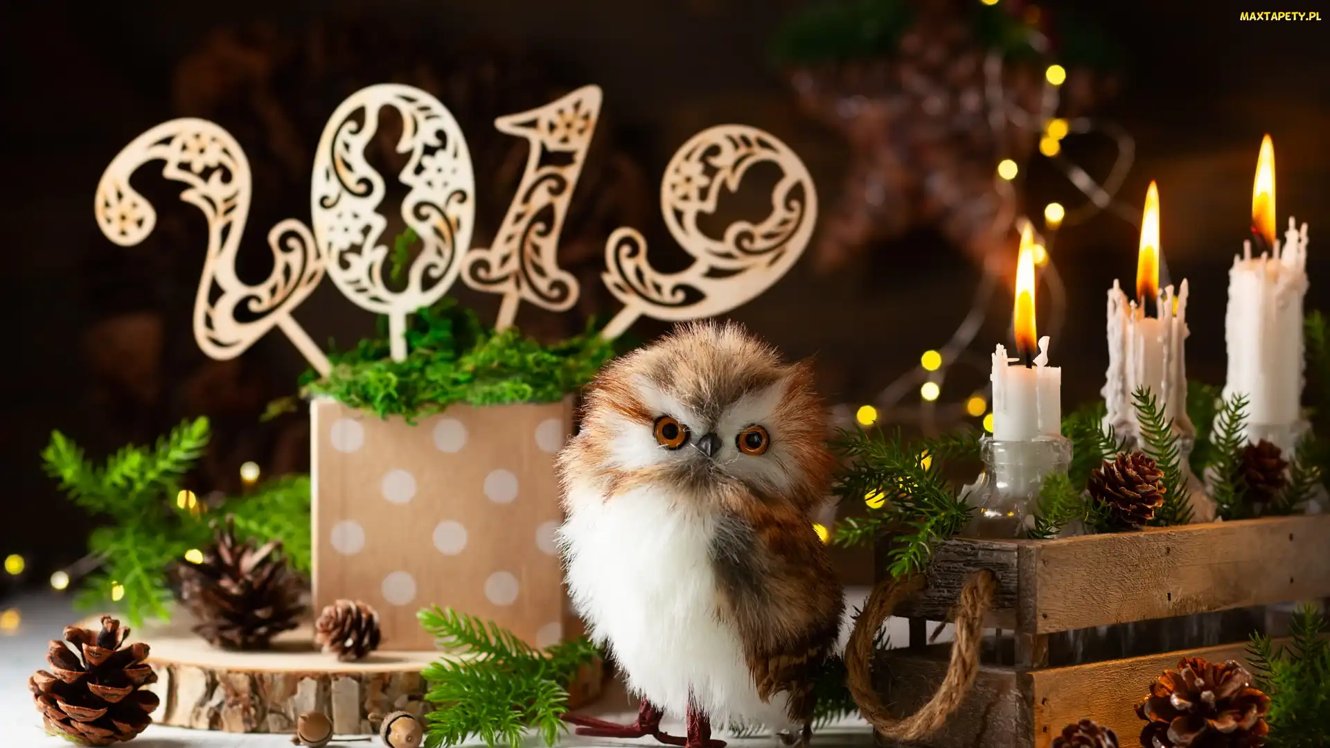 Pudełko, Szyszki, 2019, Skrzynka, Świece, Nowy Rok, Sowa