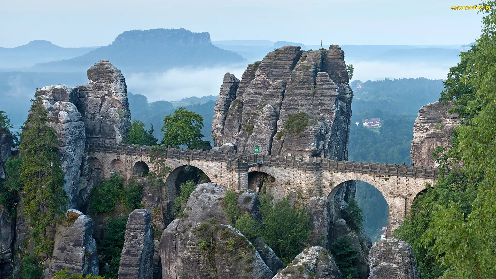 Skały, Drzewa, Góry Połabskie, Niemcy, Bastei, Formacja skalna, Park Narodowy Saskiej Szwajcarii, Most