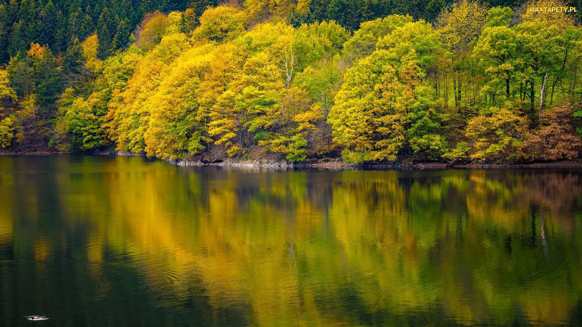 Jezioro, Odbicie, Drzewa, Jesień