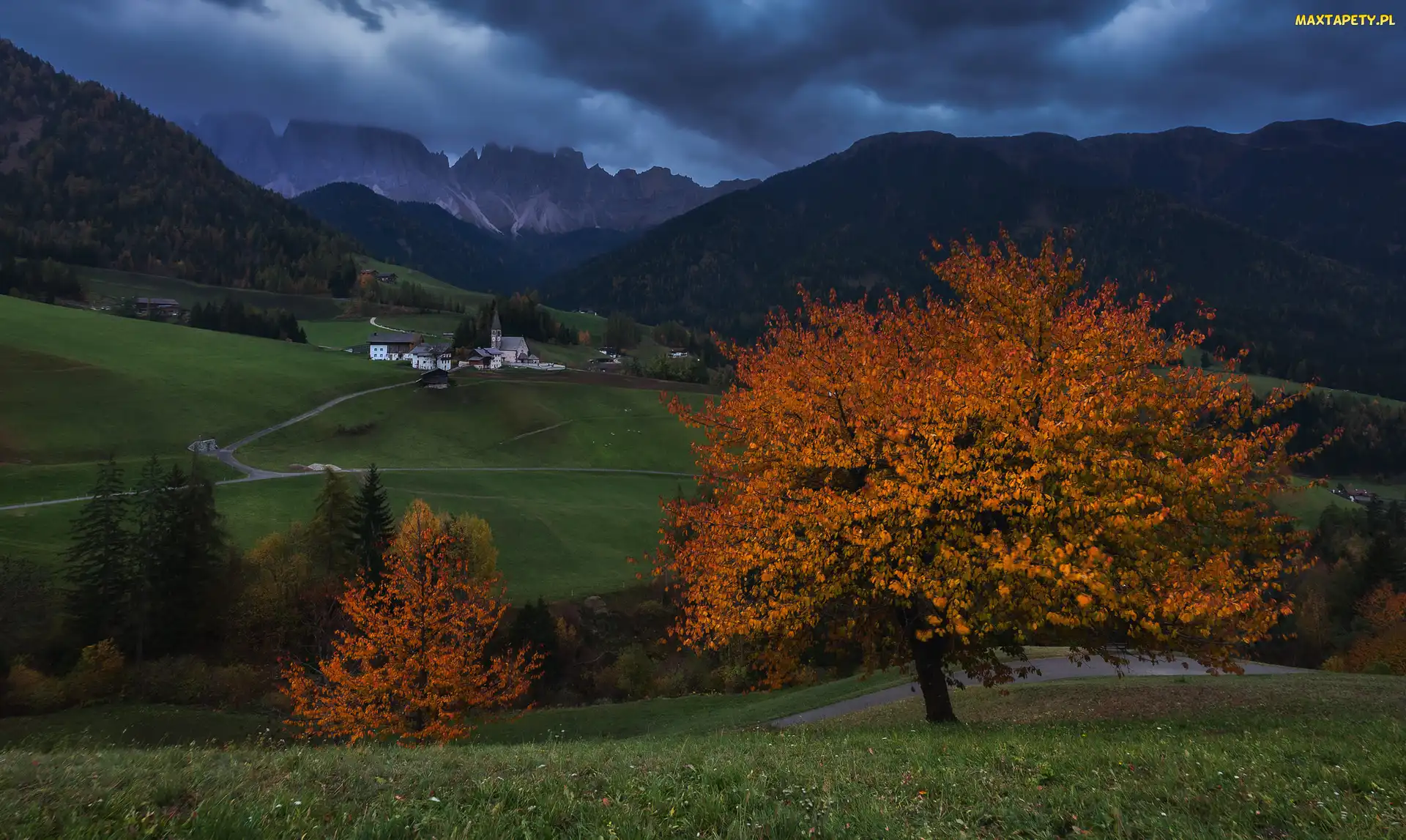 Góry, Droga, Kościół, Włochy, Drzewa, Wieś Santa Magdalena, Dolomity, Dolina Val di Funes, Domy