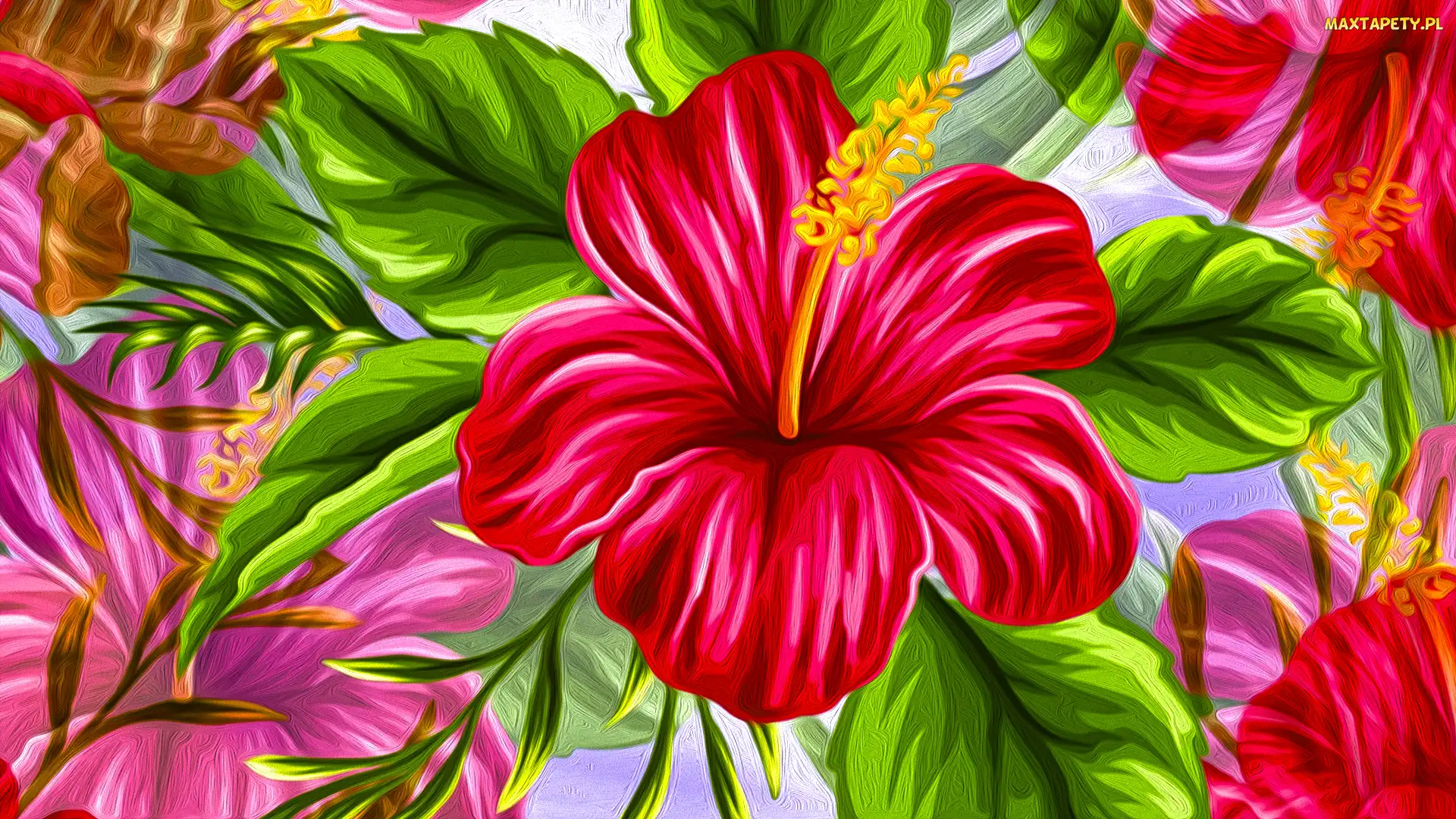 Kwiaty, Grafika, Hibiskus, Czerwony