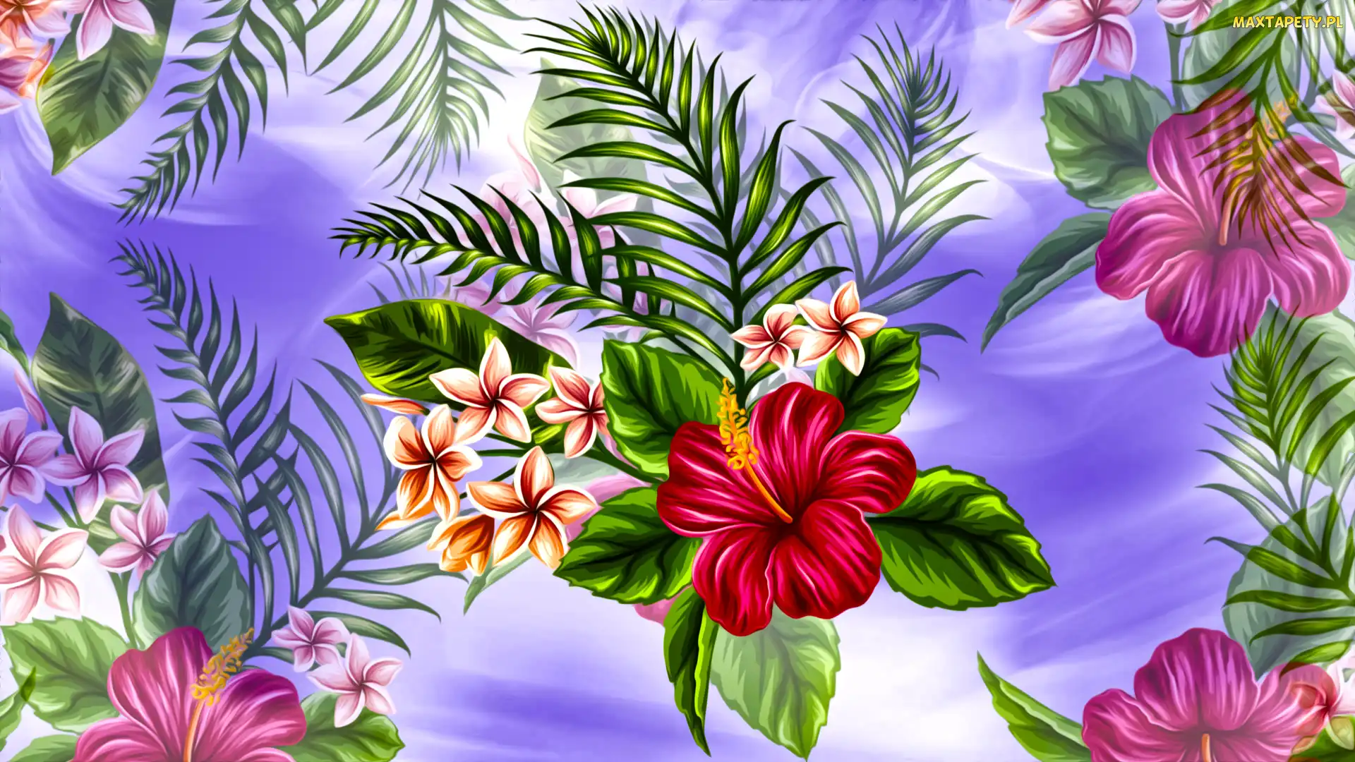 Kwiaty, Listki, Hibiskus, Plumeria, Grafika