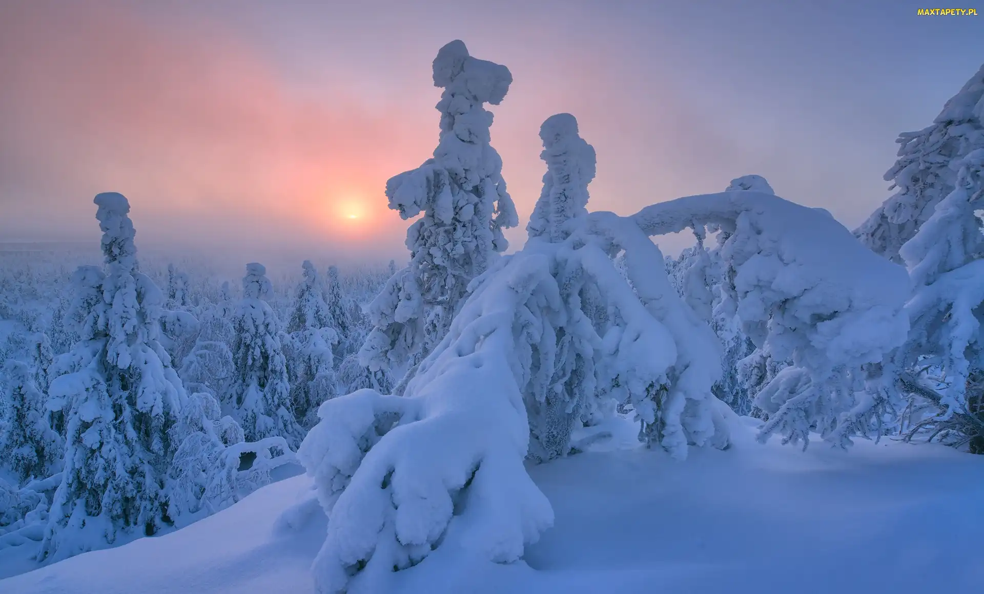 Wschód słońca, Drzewa, Zima, Finlandia, Rezerwat Valtavaara, Wzgórze, Laponia, Mgła