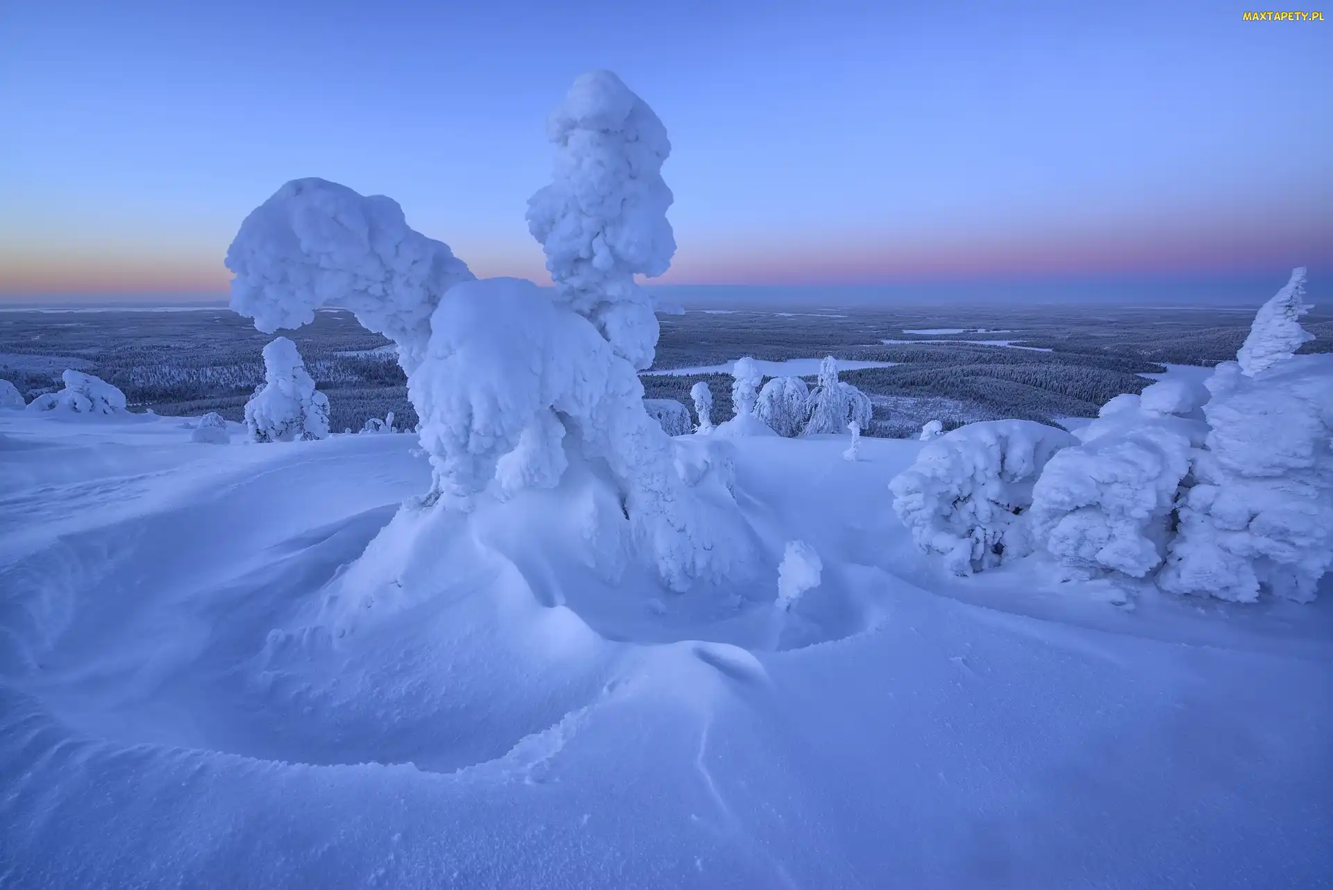 Drzewa, Wzgórze, Zima, Wschód słońca, Laponia, Mgła, Finlandia, Rezerwat Valtavaara