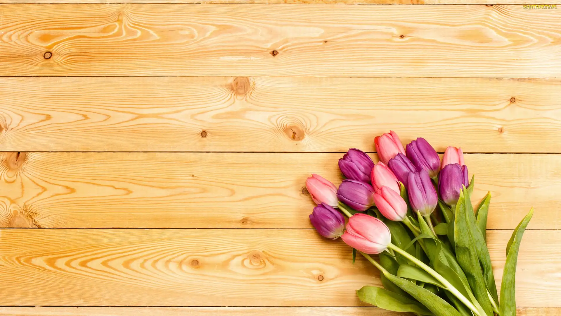 Tulipany, Deski, Bukiet