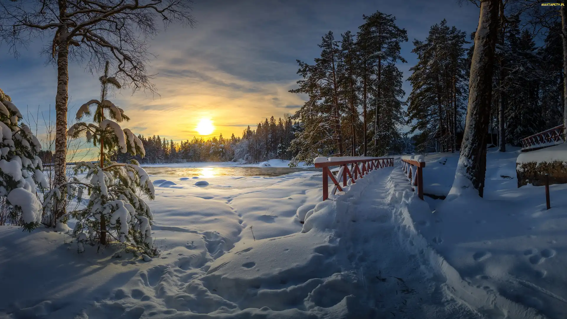 Rzeka Langinkoski, Las, Zima, Finlandia, Wschód słońca, Mostek, Kotka, Drzewa
