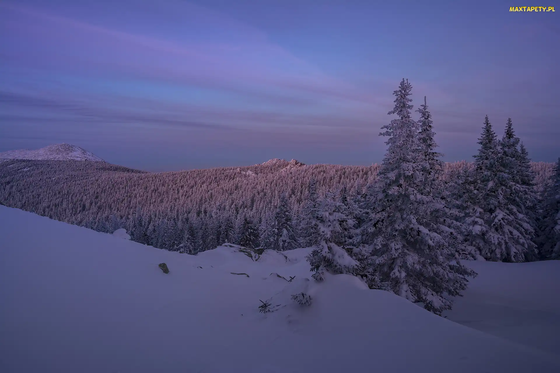 Wzgórza, Obwód czelabiński, Zmierzch, Rosja, Park Narodowy Taganaj, Zima, Góry, Skały, Drzewa