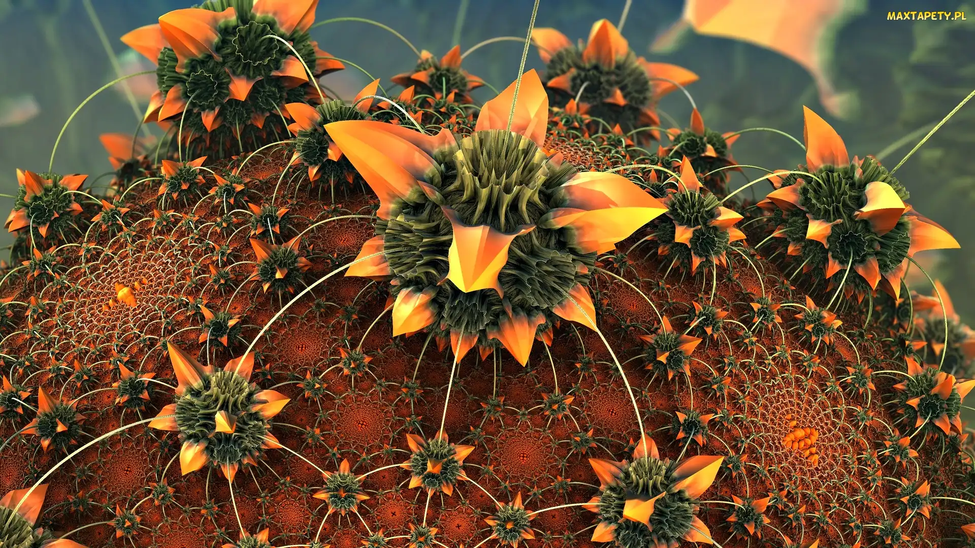 Kwiat, 3D, Kaktus