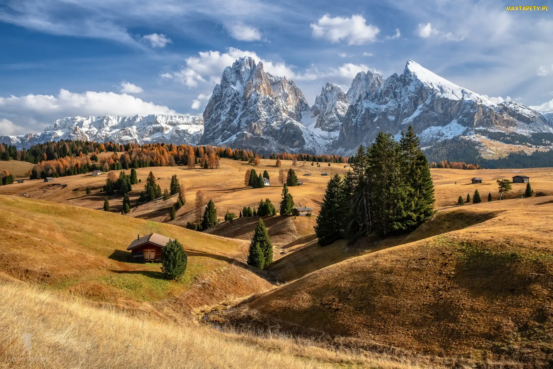 Drzewa, Domy, Góry Sassolungo, Włochy, Płaskowyż Seiser Alm, Dolina Val Gardena, Dolomity