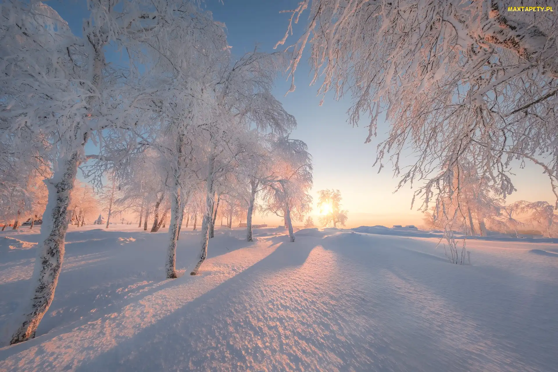 Śnieg, Słońce, Drzewa, Ośnieżone, Zima