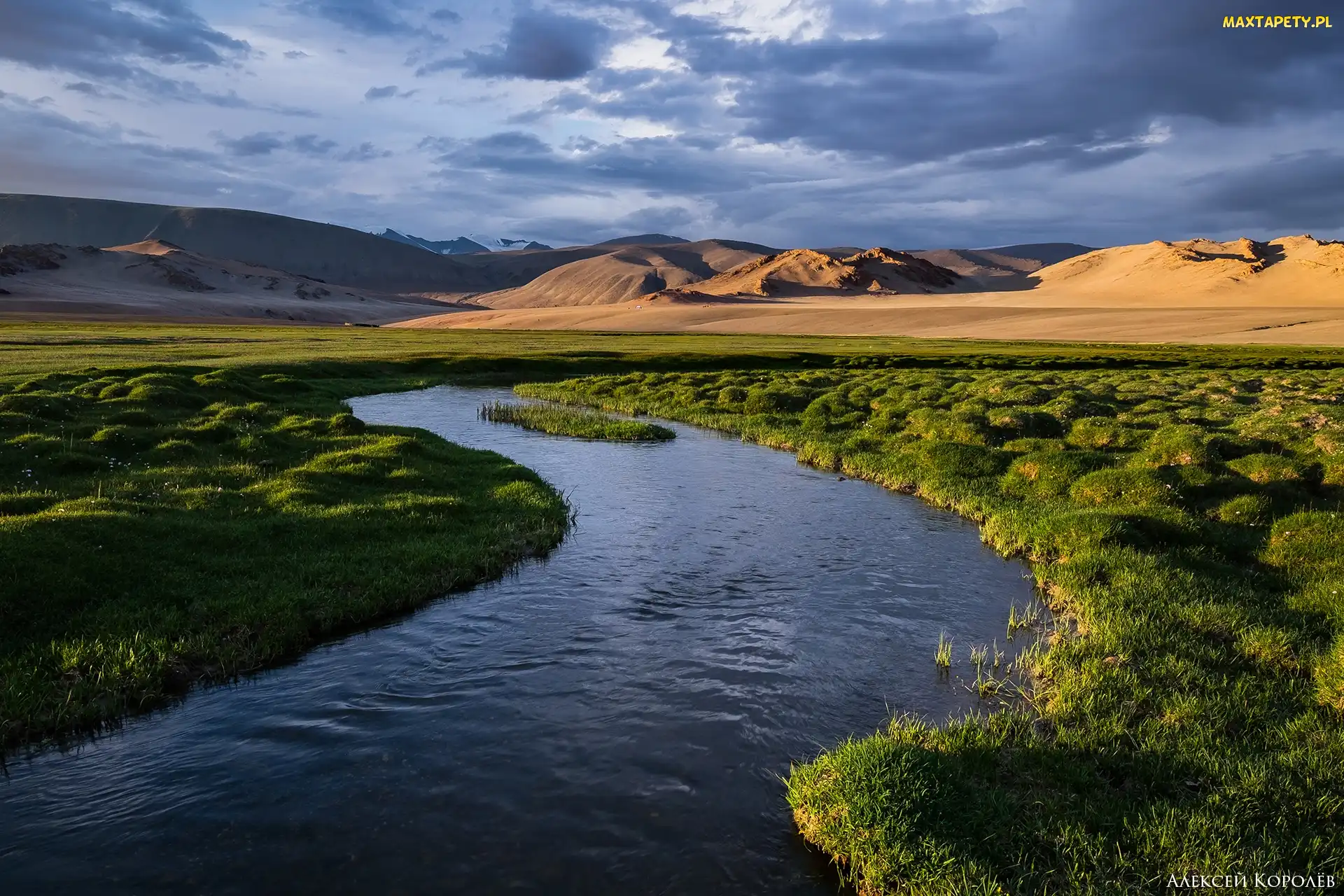 Rzeka, Mongolia, Góry, Ałtaj Mongolski, Łąki