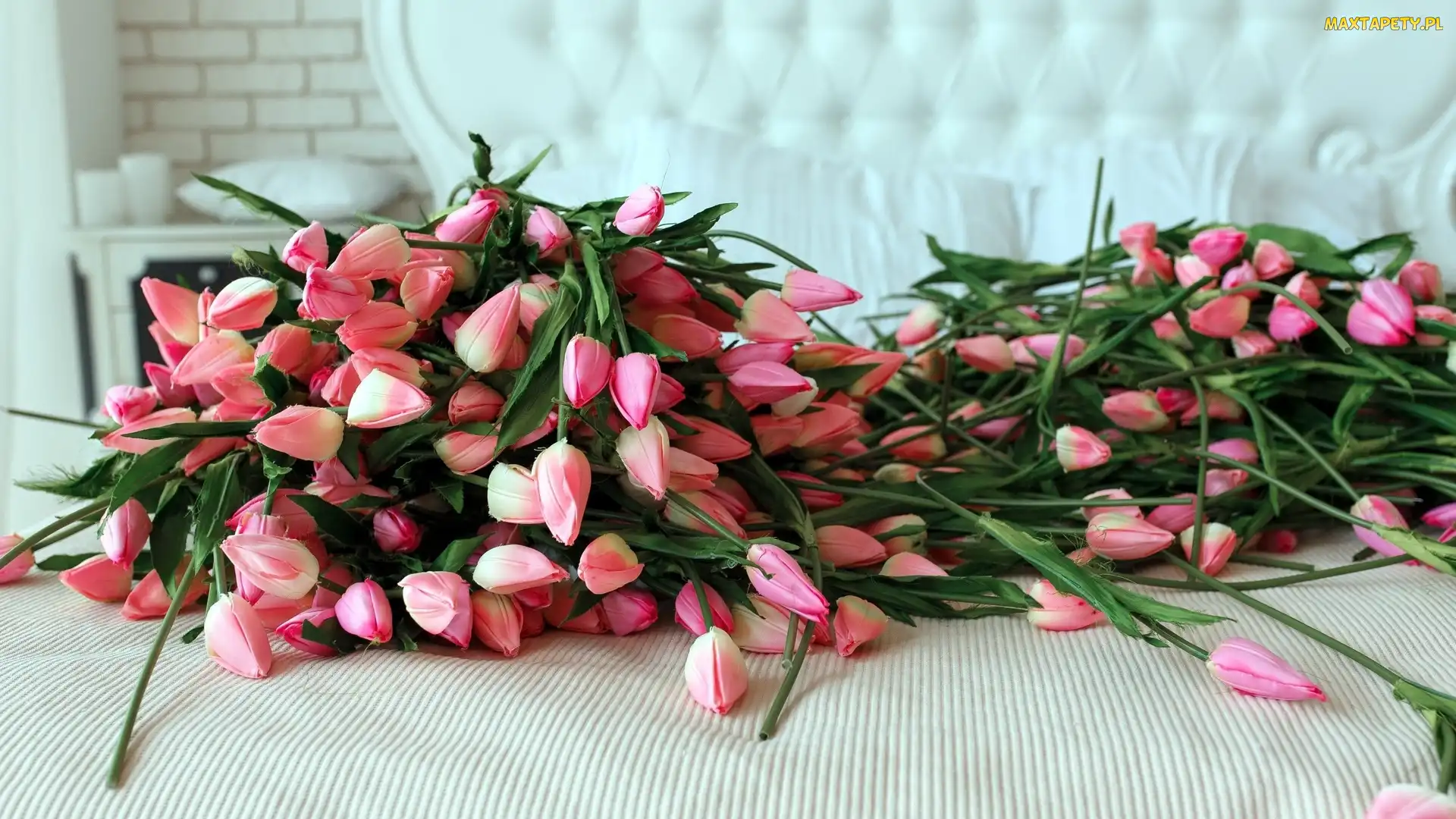 Kwiaty, Tulipany, Sztuczne
