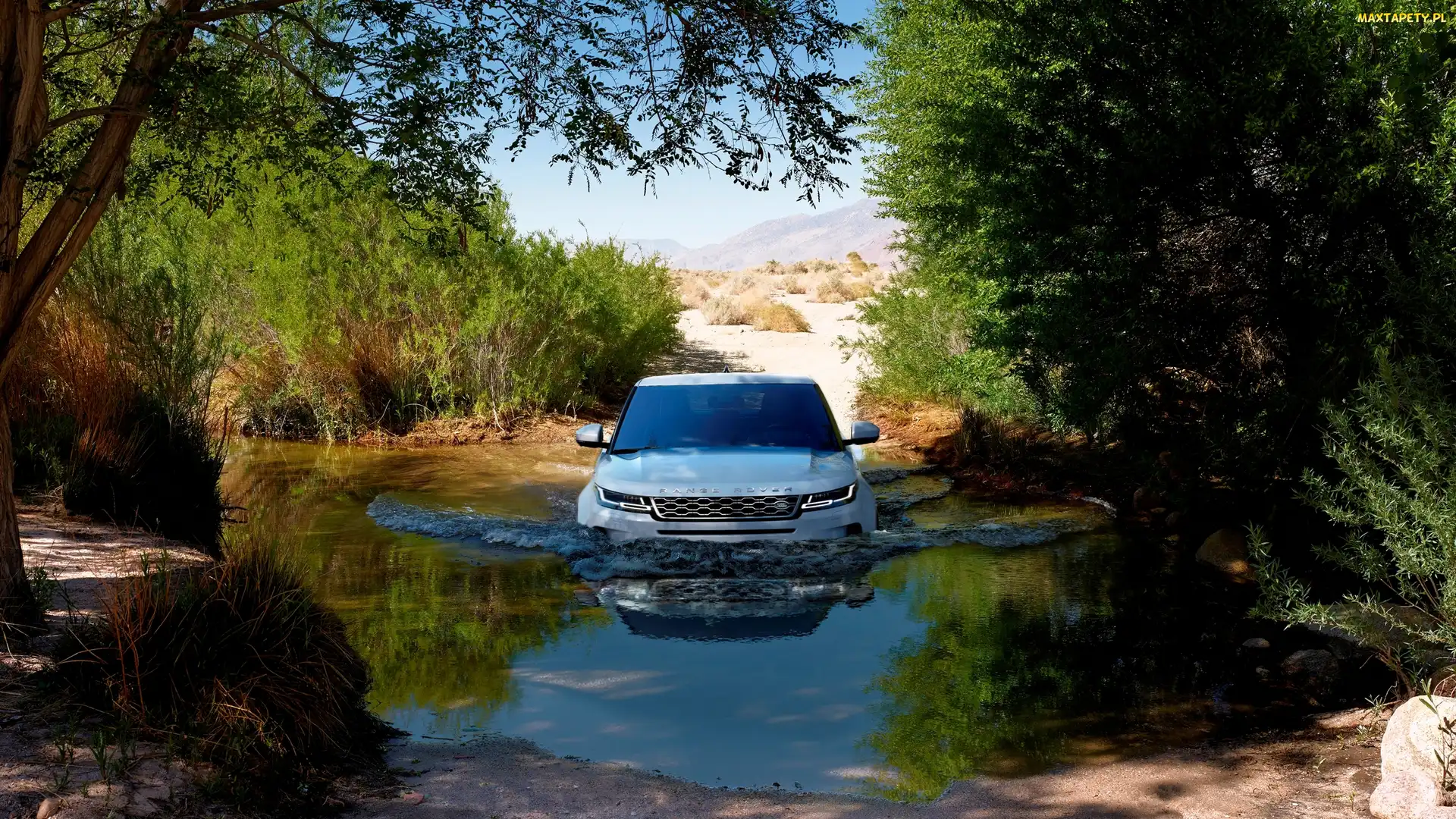 Rzeka, Drzewa, Land Rover Range Rover Evoque