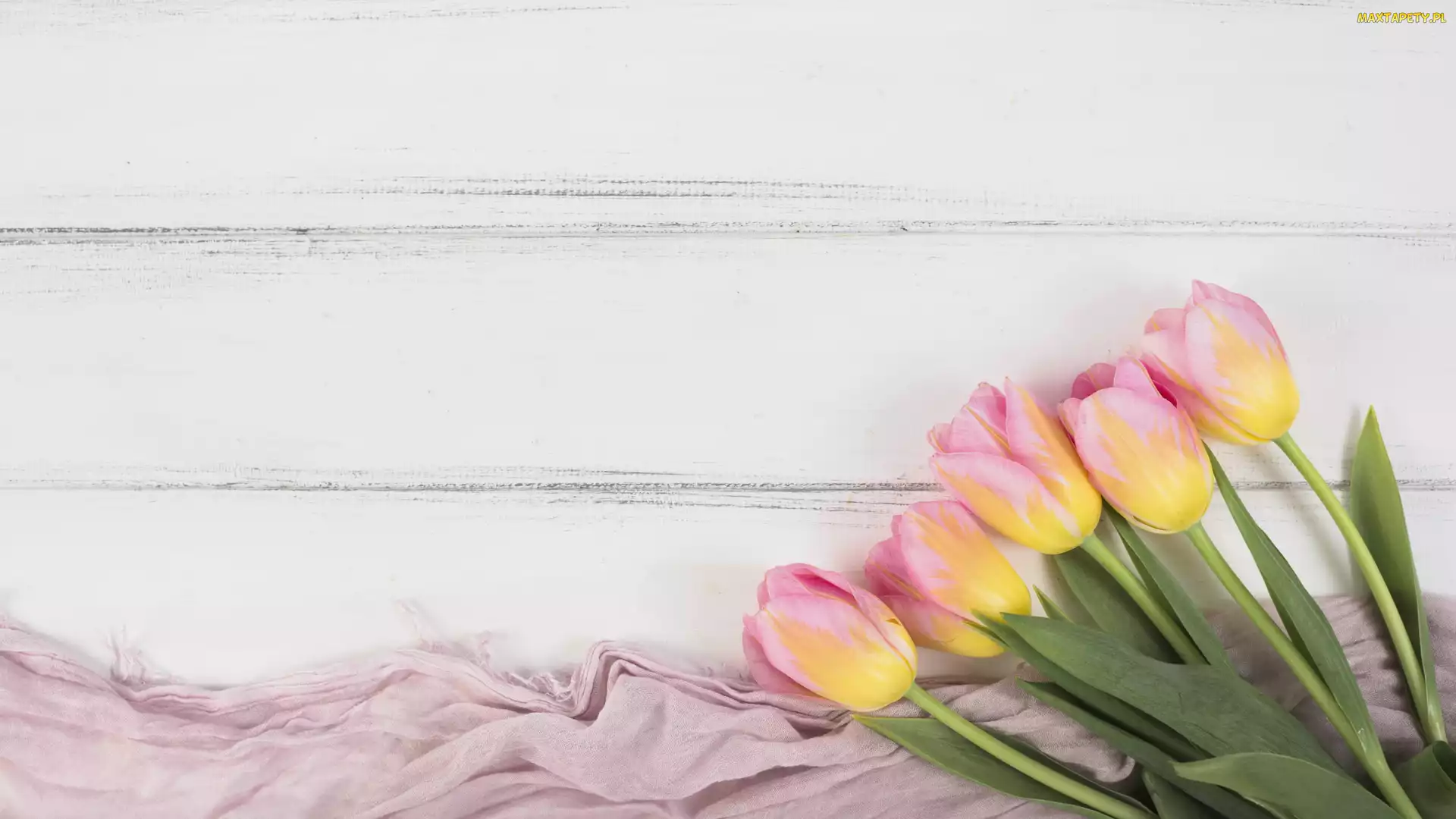 Tulipany, Materiał, Różowo-żółte