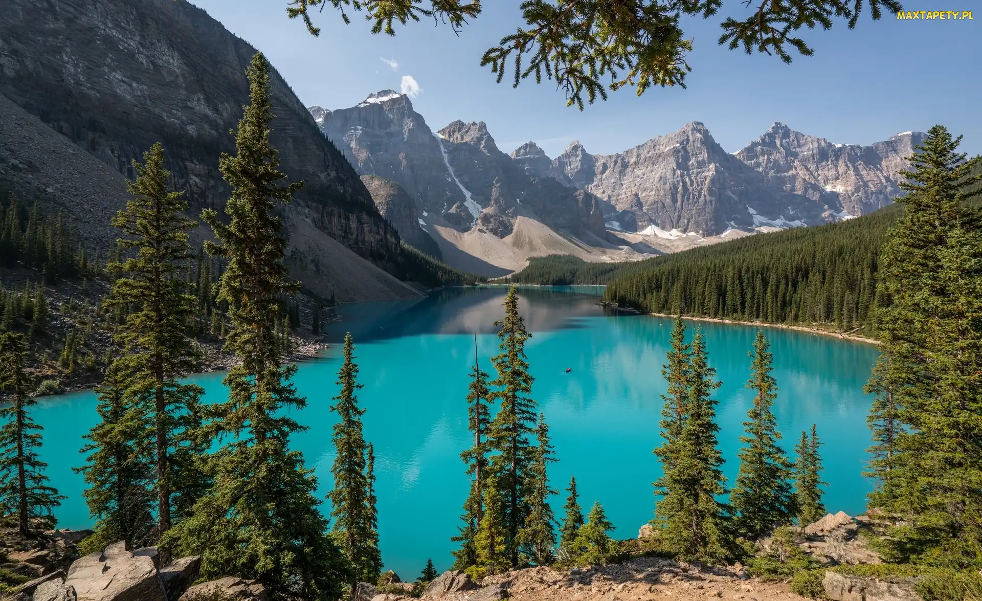 Drzewa, Las, Alberta, Góry, Jezioro Moraine, Kanada, Park Narodowy Banff