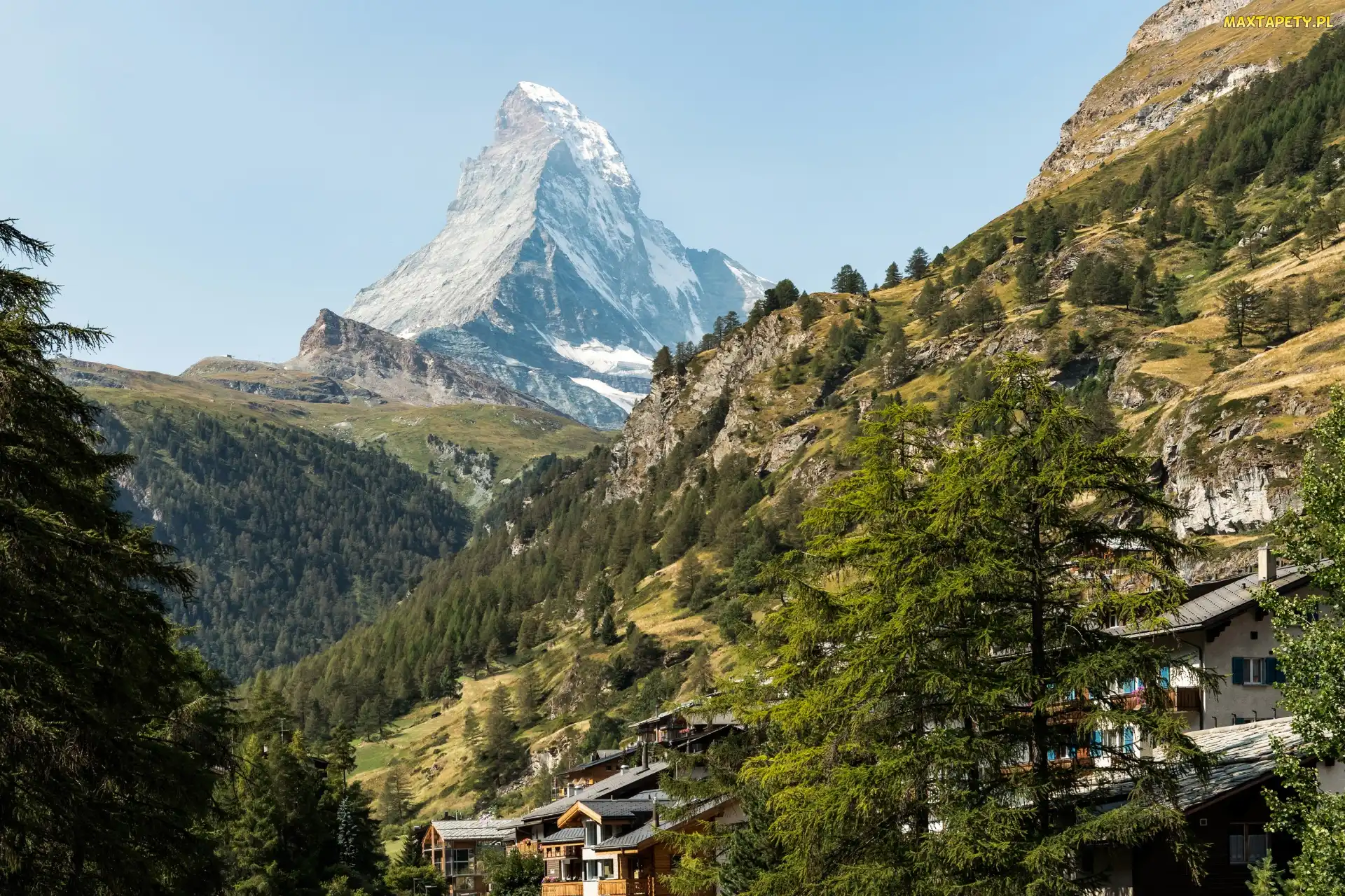 Alpy Pennińskie, Drzewa, Góry, Domy, Valais, Szczyt Matterhorn, Szwajcaria, Miejscowość Zermatt