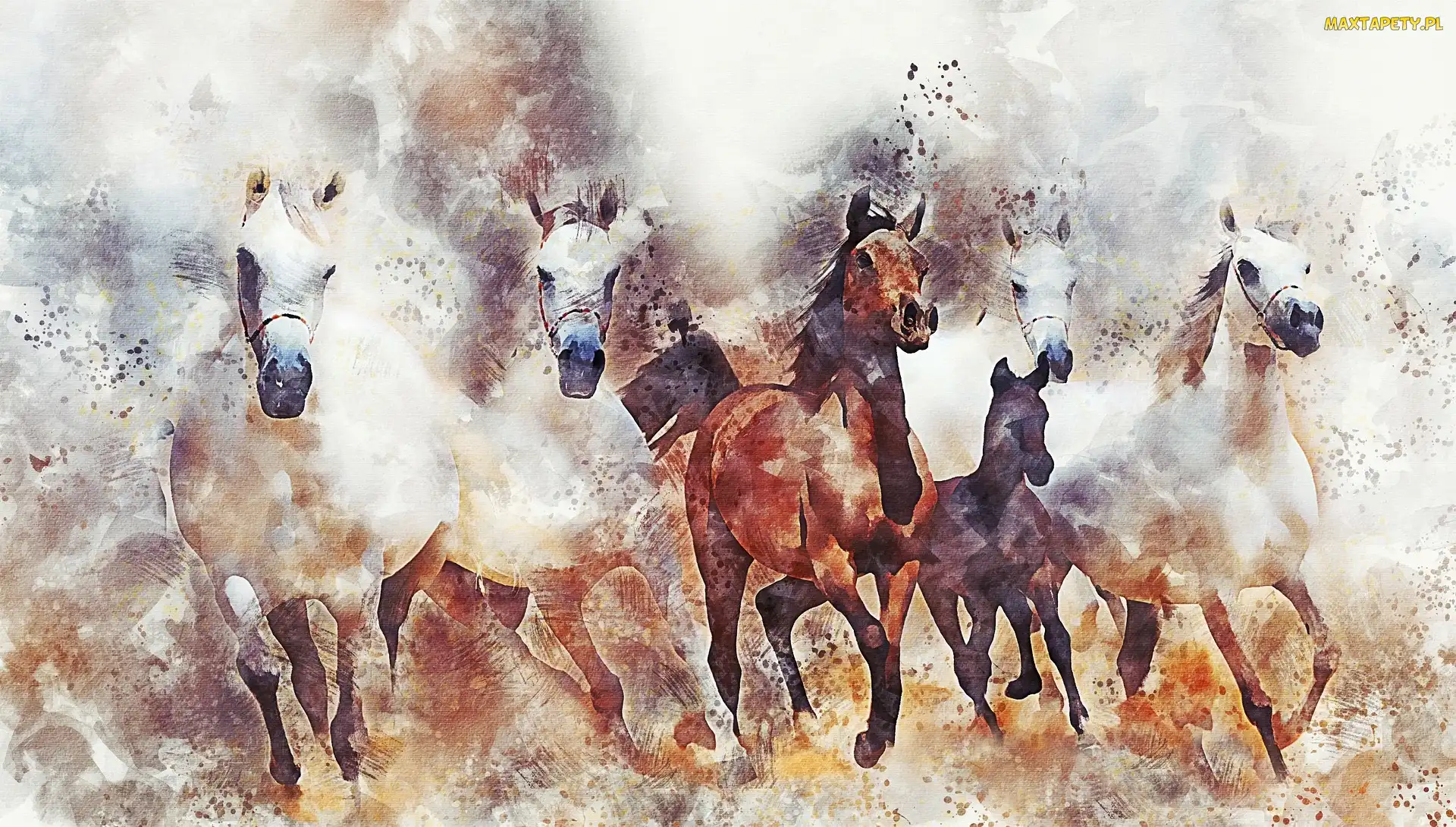 Galop, Grafika, Konie