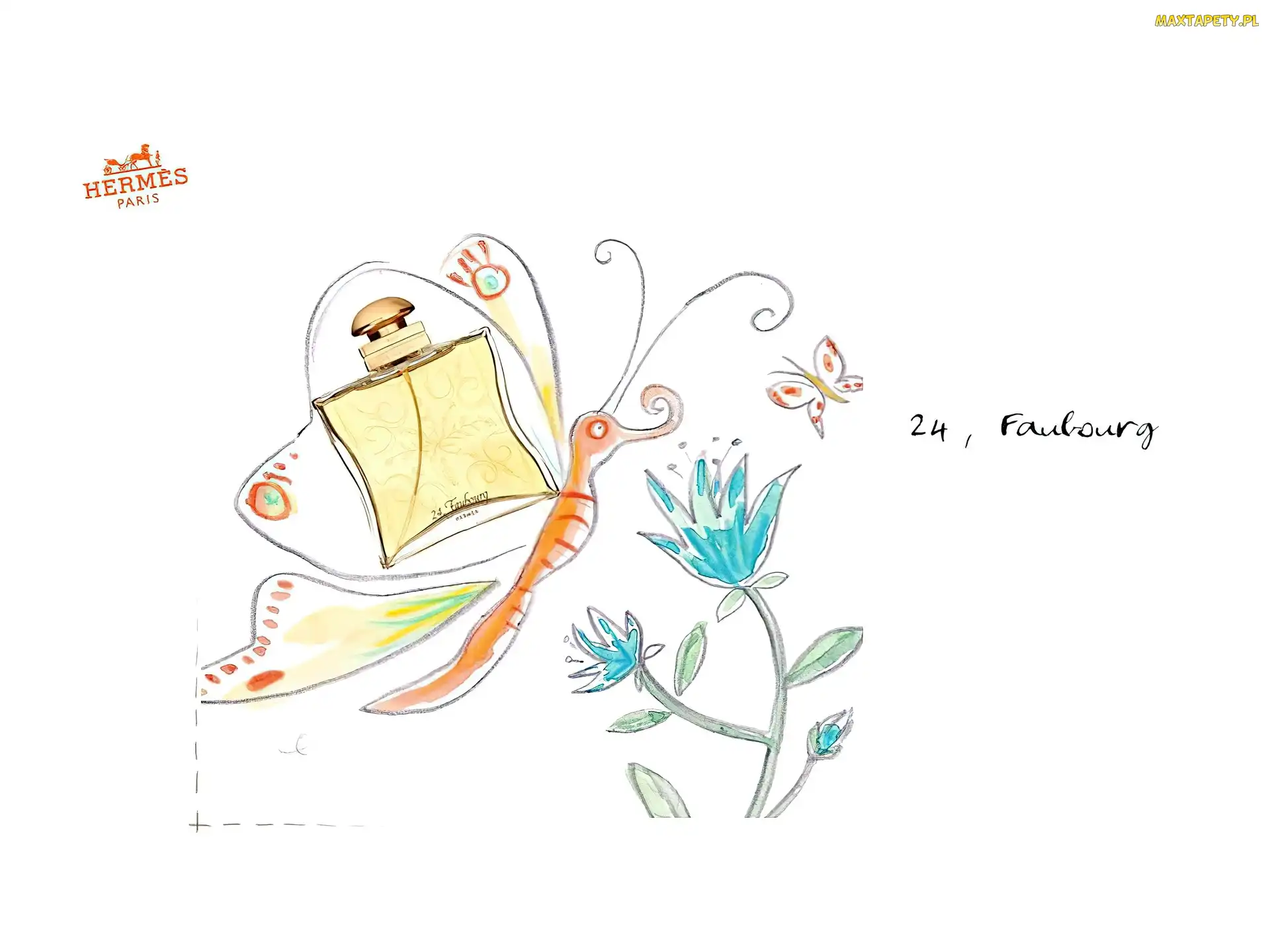 flakon, perfumy, rysunek, Hermes, motyl, kwiat