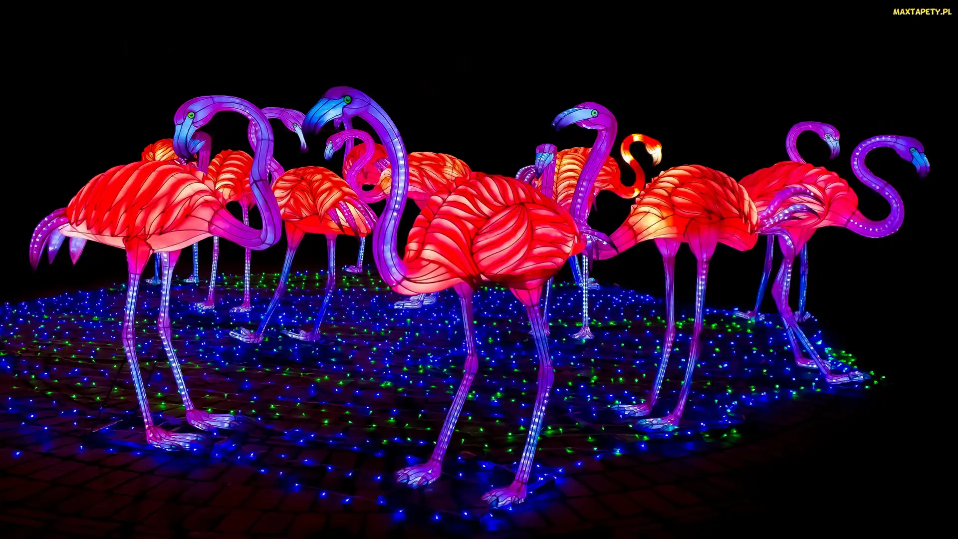 Kolorowe, Iluminacje, Oświetlenie, Elektryczne, Flamingi