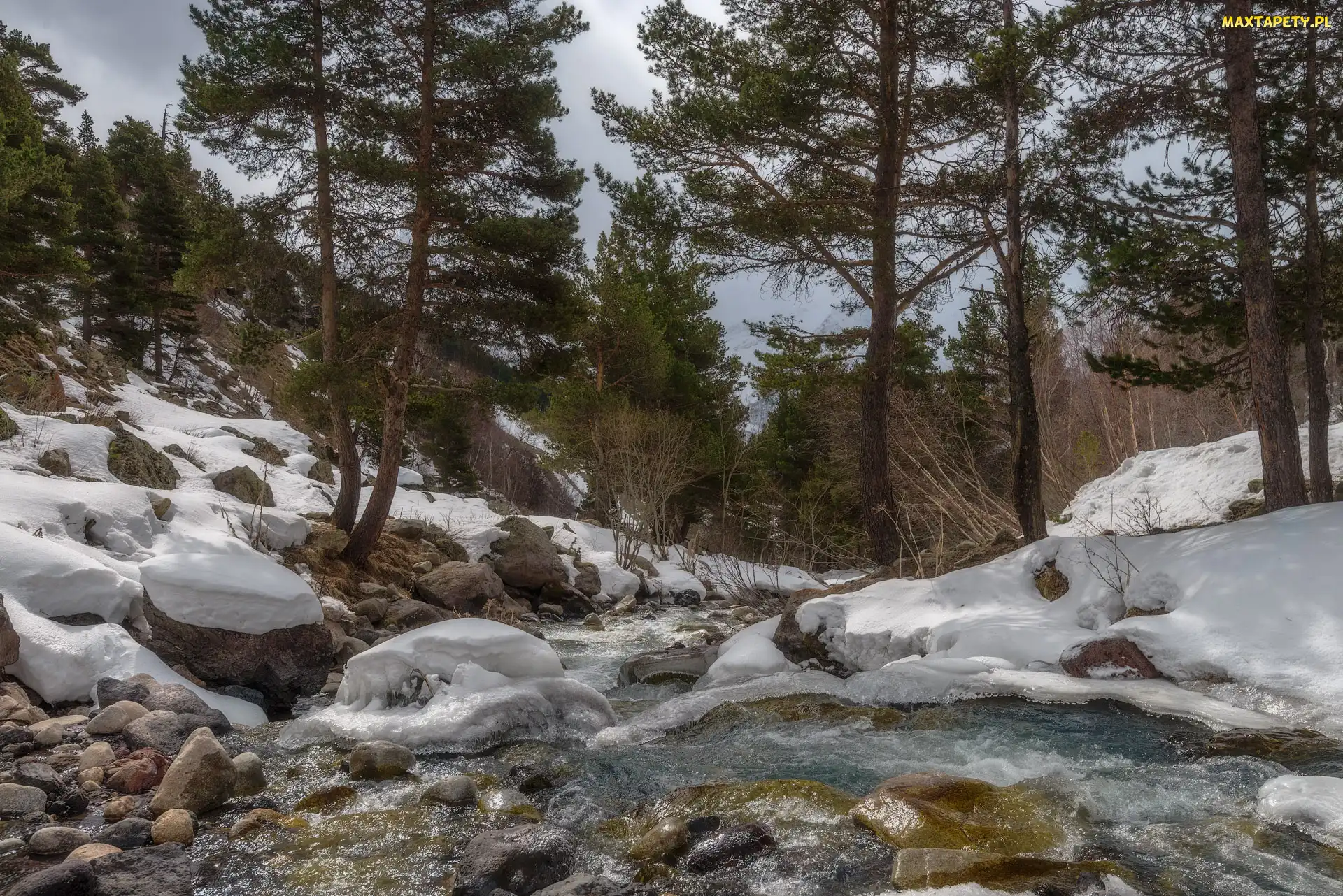 Rosja, Wąwóz Terskol, Śnieg, Kabardo-Bałkaria, Potok, Las, Rzeka, Kamienie, Drzewa, Zima