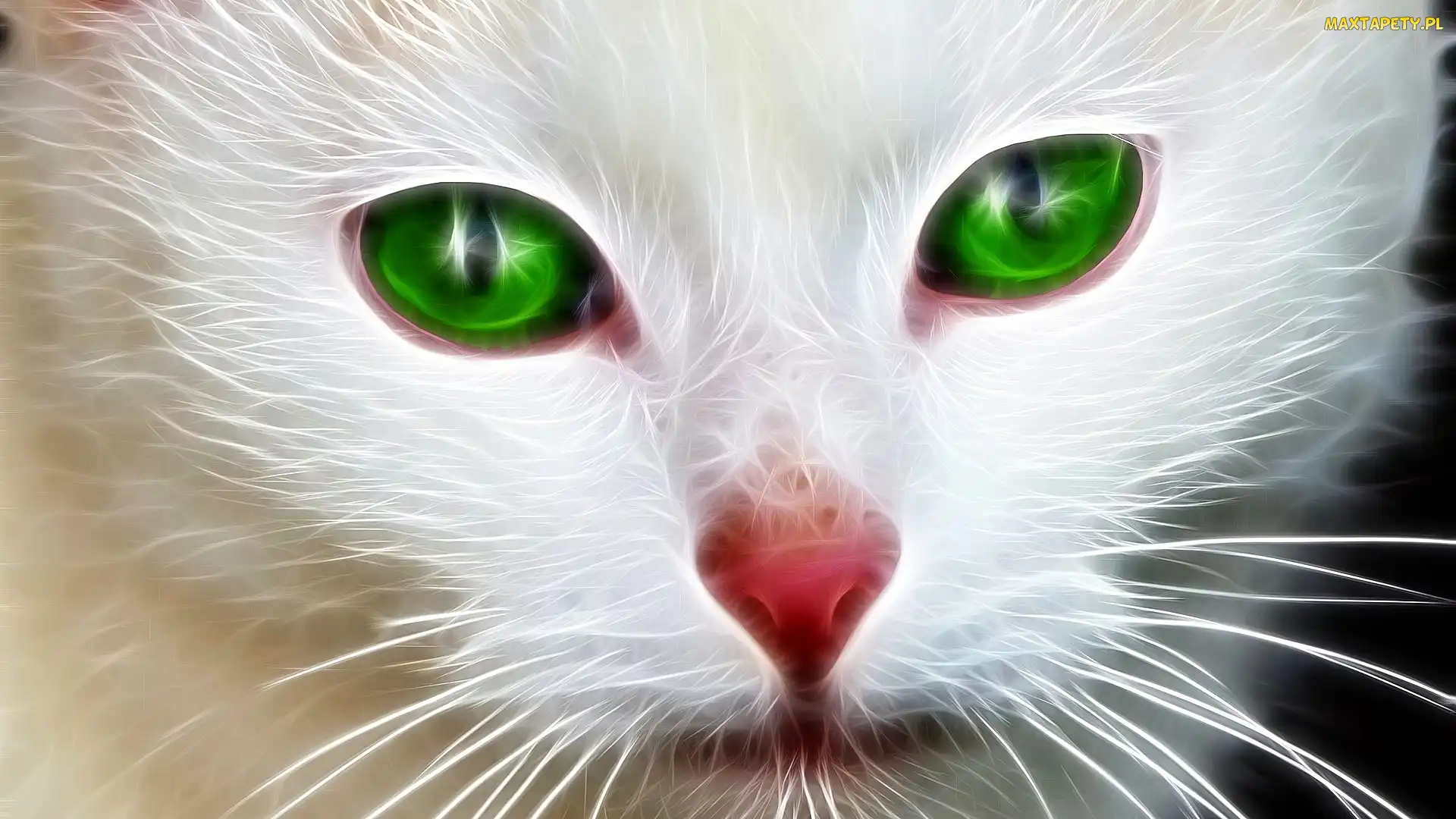 Oczy, Zielone, Mordka, Fractalius, Nos, Kot, Czerwony