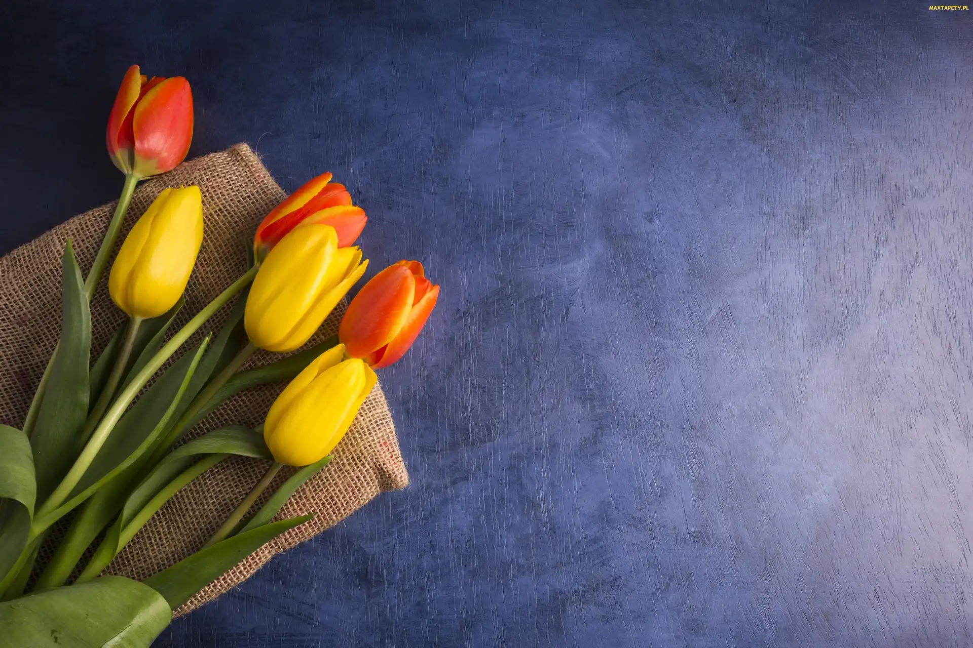 Parciany, Worek, Tulipany