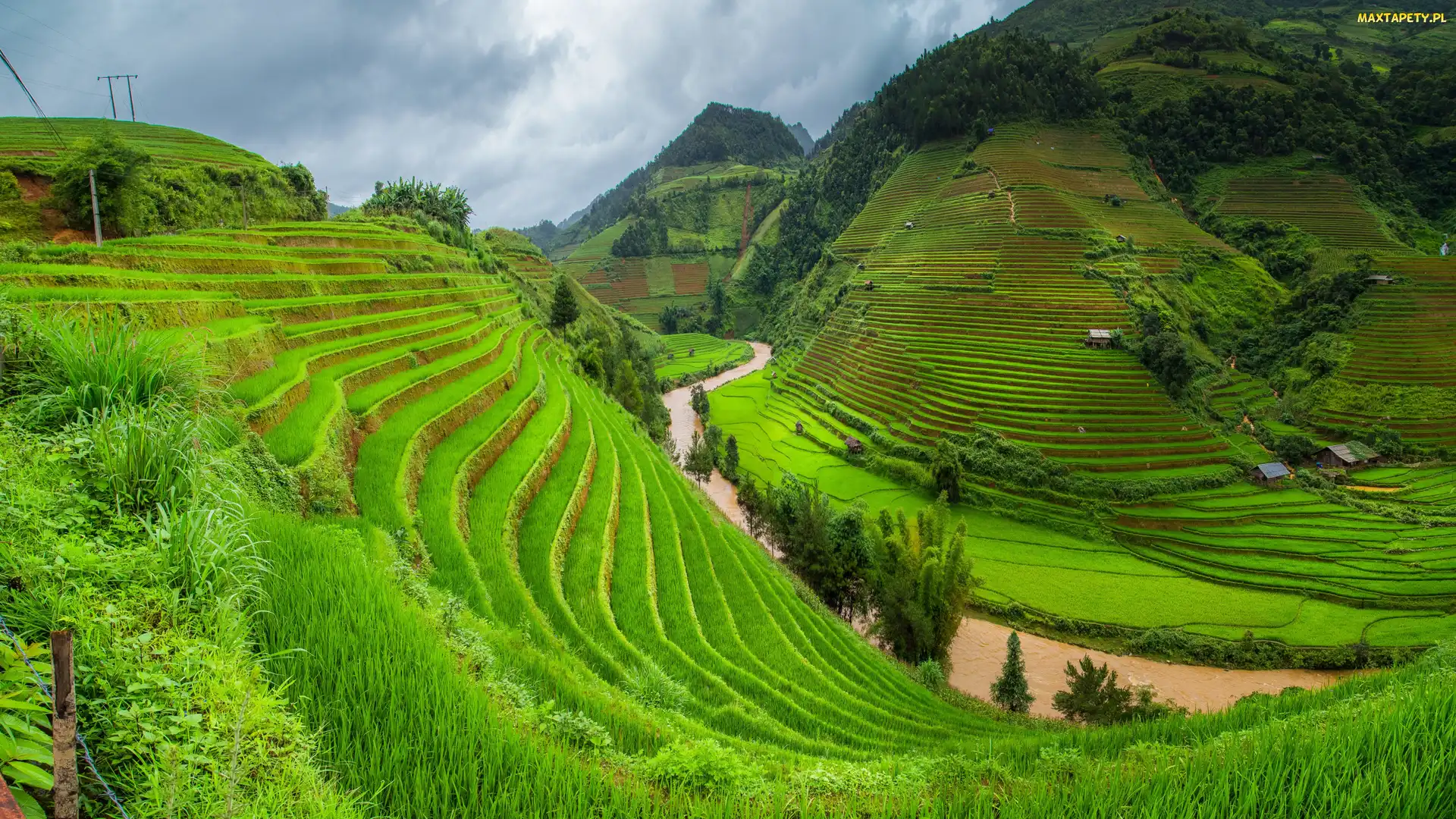 Prowincja Lao Cai, Sa Pa, Pola, Wietnam, Tarasy ryżowe, Wzgórza, Uprawne