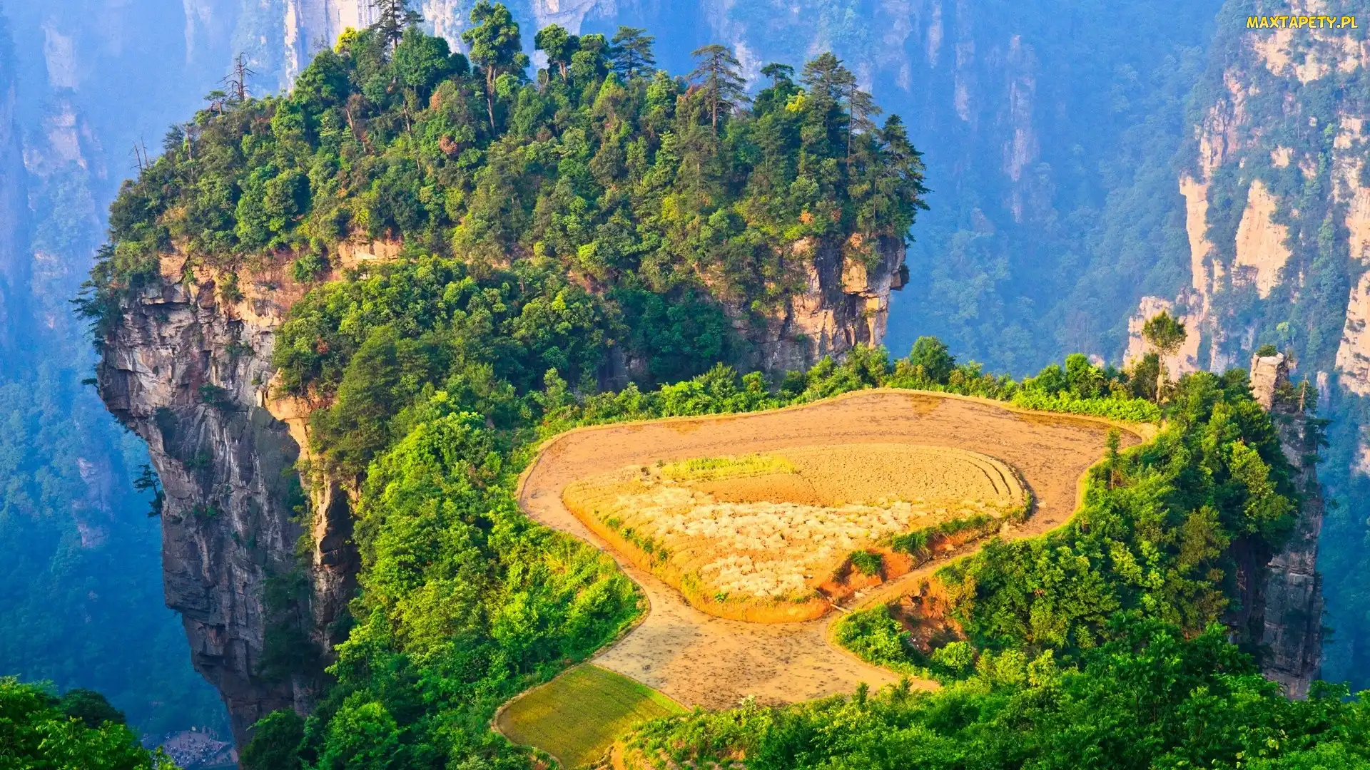 Skały, Drzewa, Chiny, Rezerwat Wulingyuan, Hunan, Zhangjiajie National Forest Park